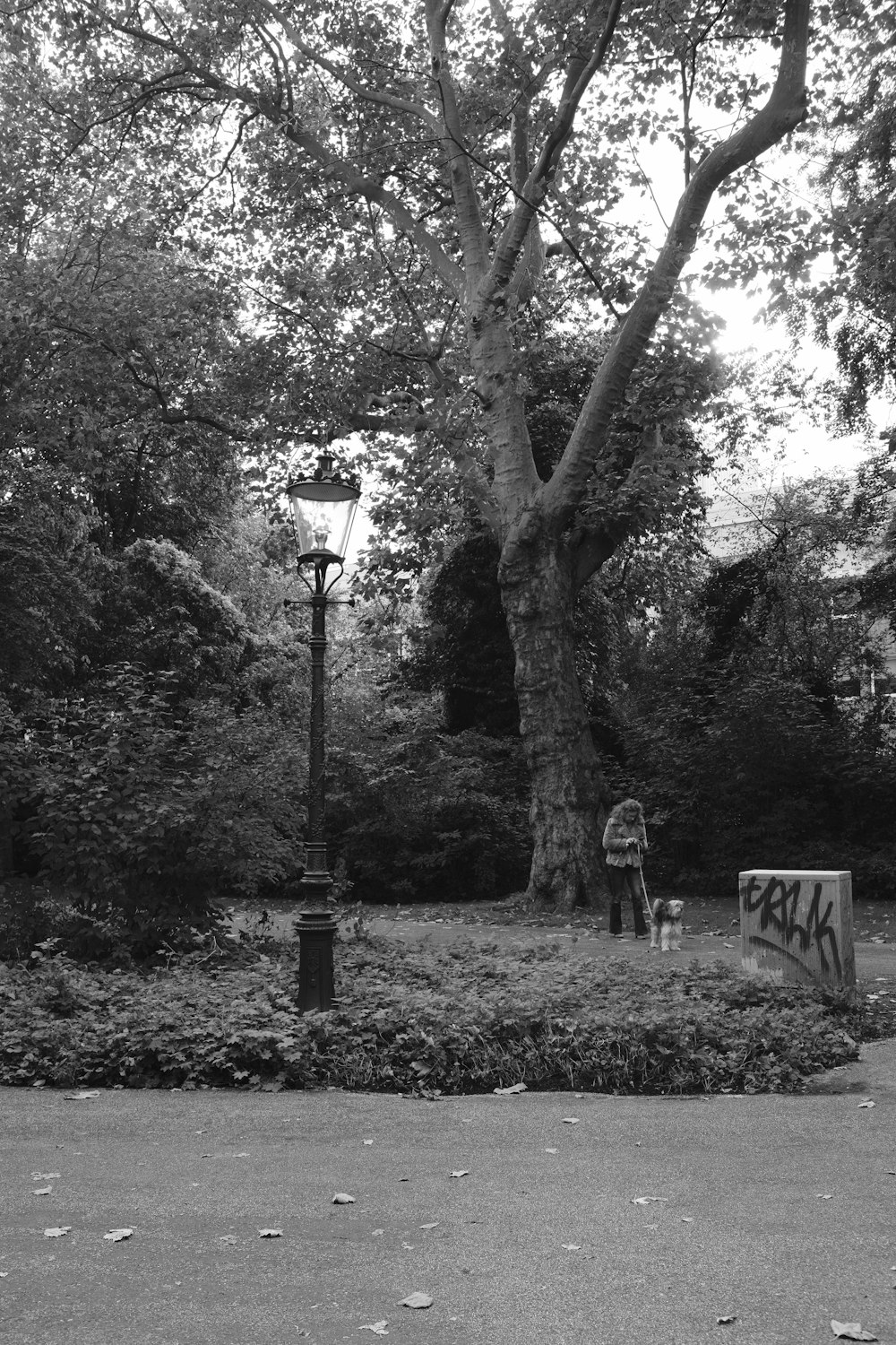 a black and white photo of a park with a lamp post