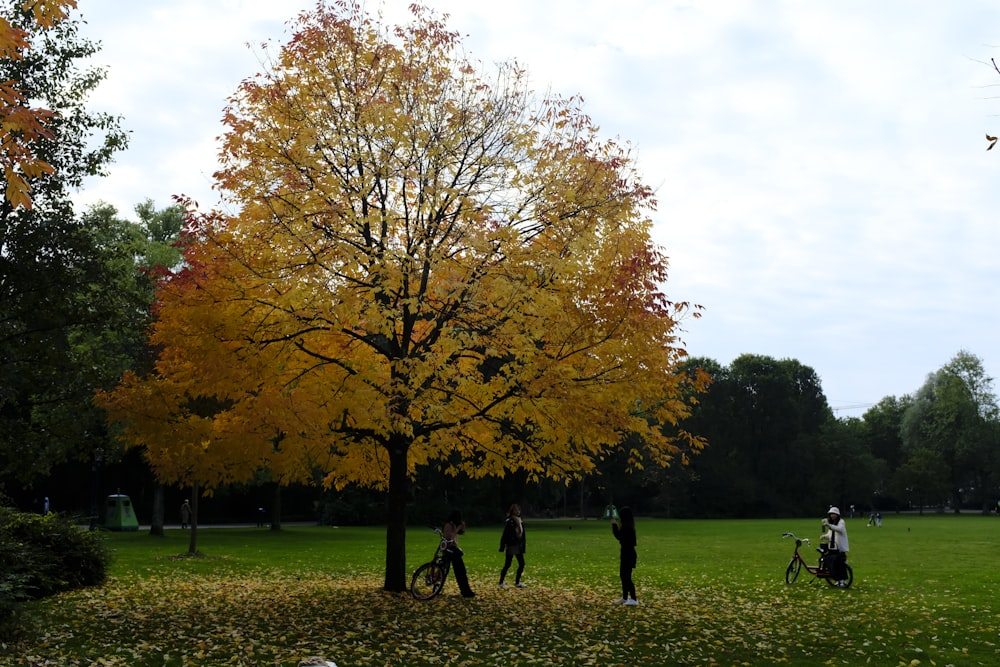 a group of people walking through a lush green park