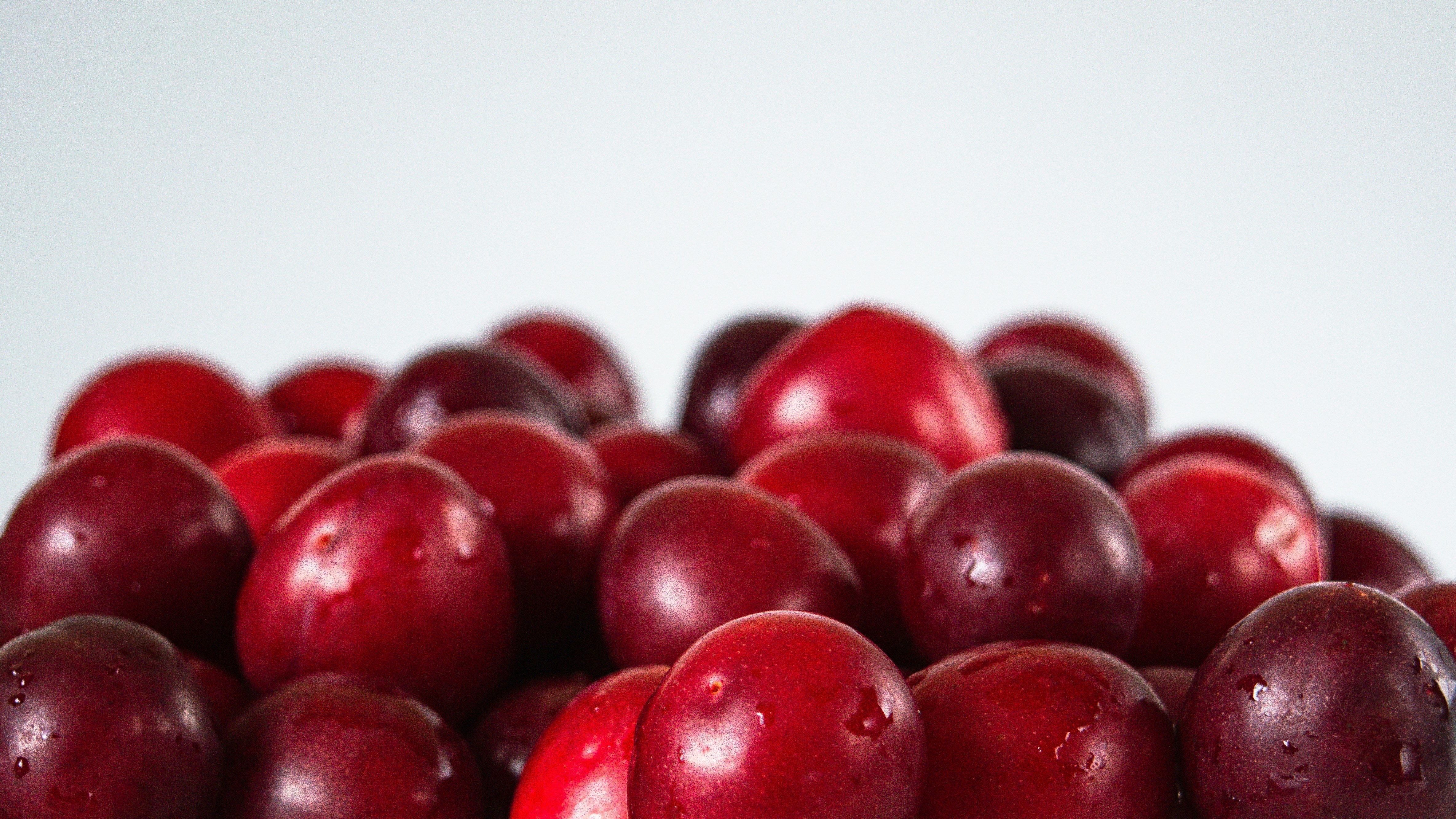 Photo by imsogabriel