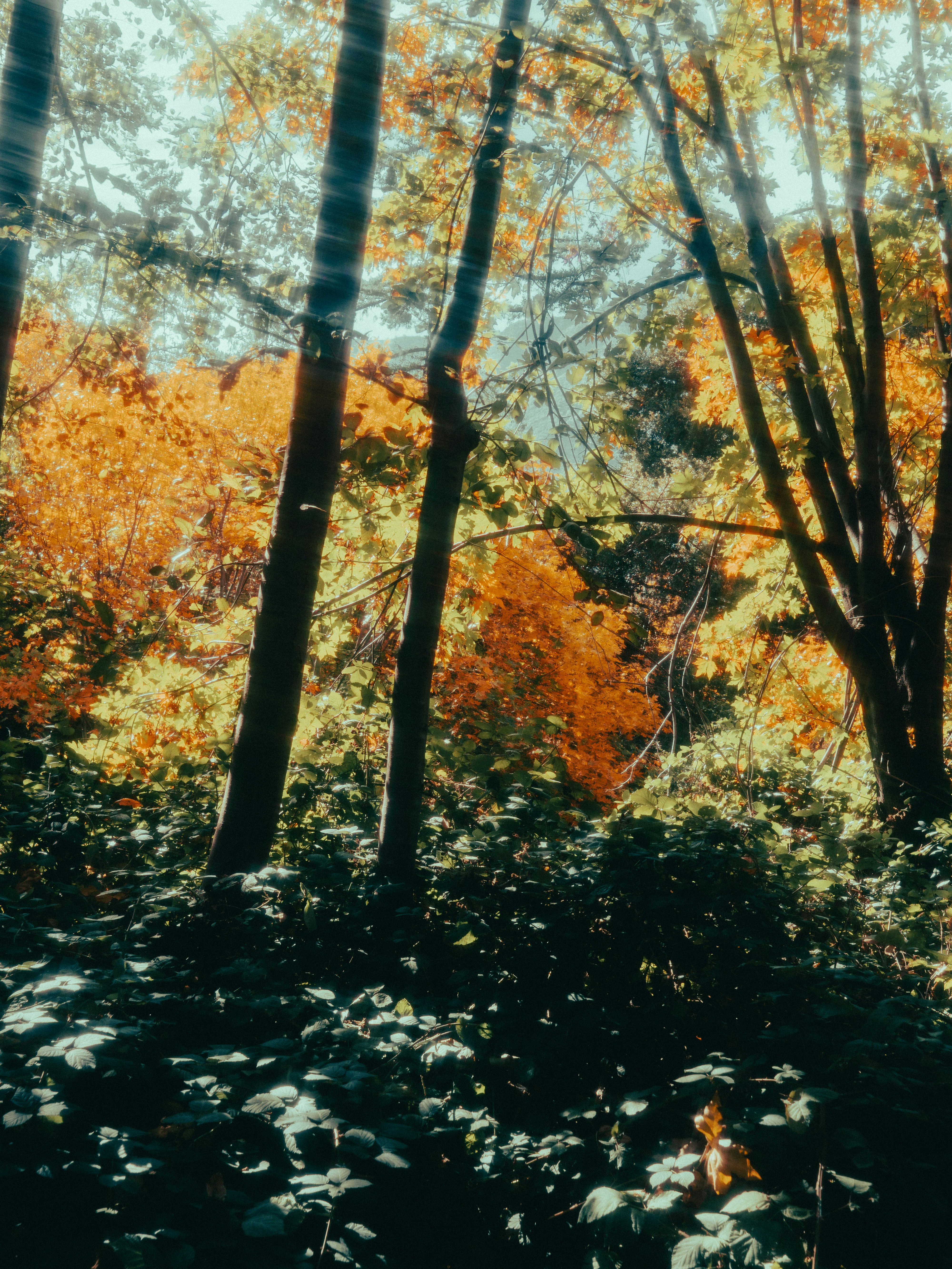 Photo by jeffreykeenan