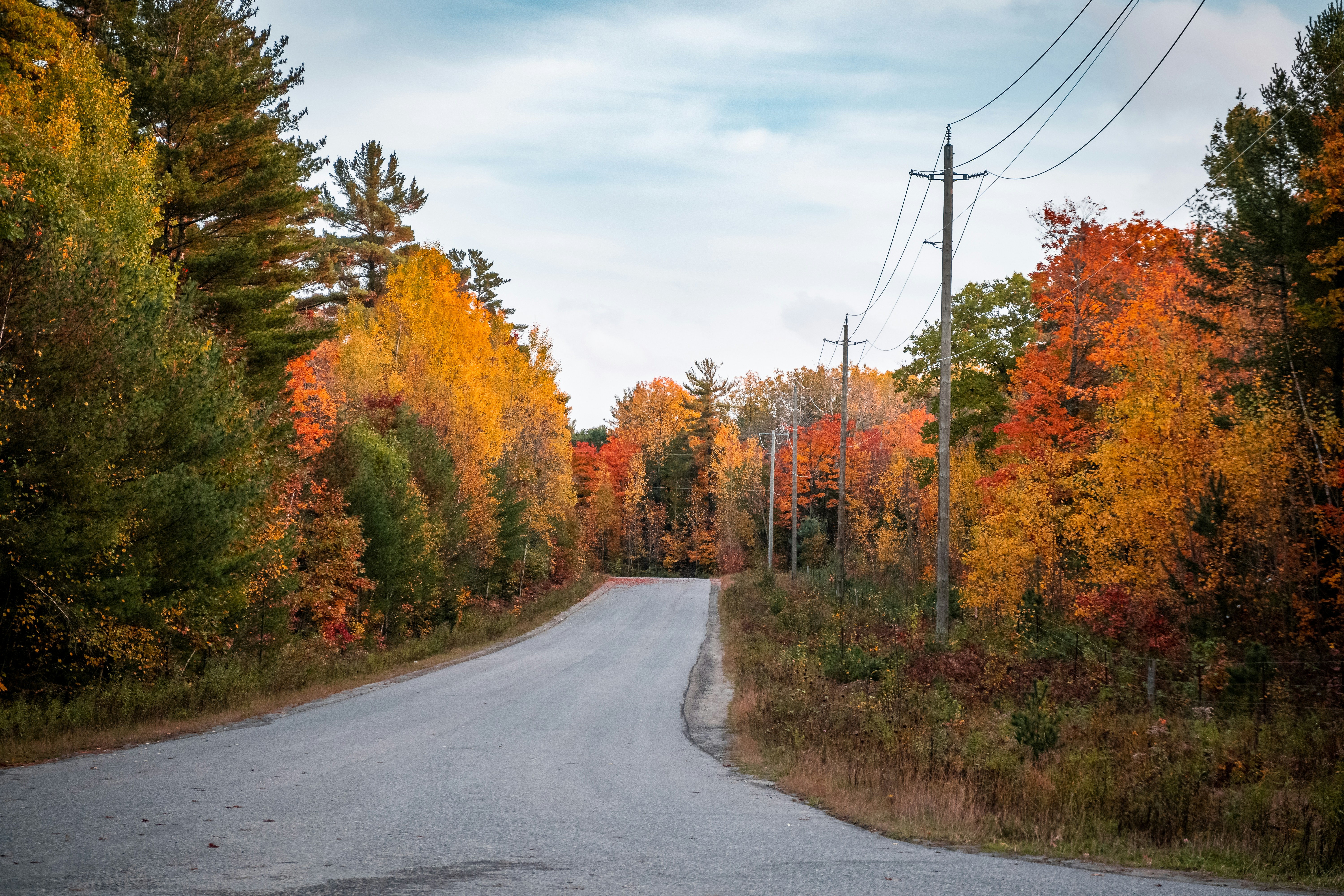 an empty road surrounded by trees in the fall, 