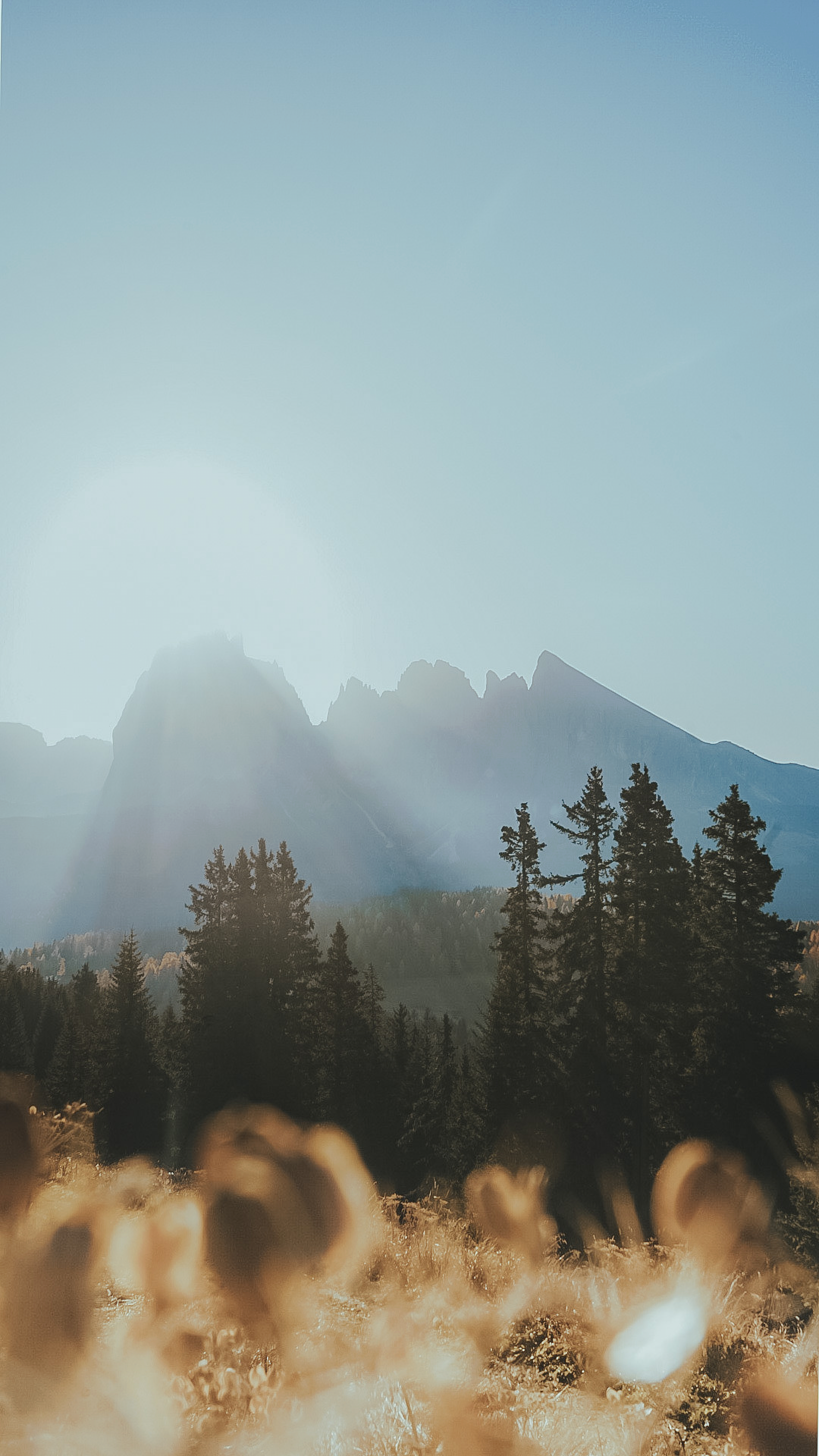 유전자 편집: 생명의 코드를 바꾸는 마법, 혹은 판도라의 상자?