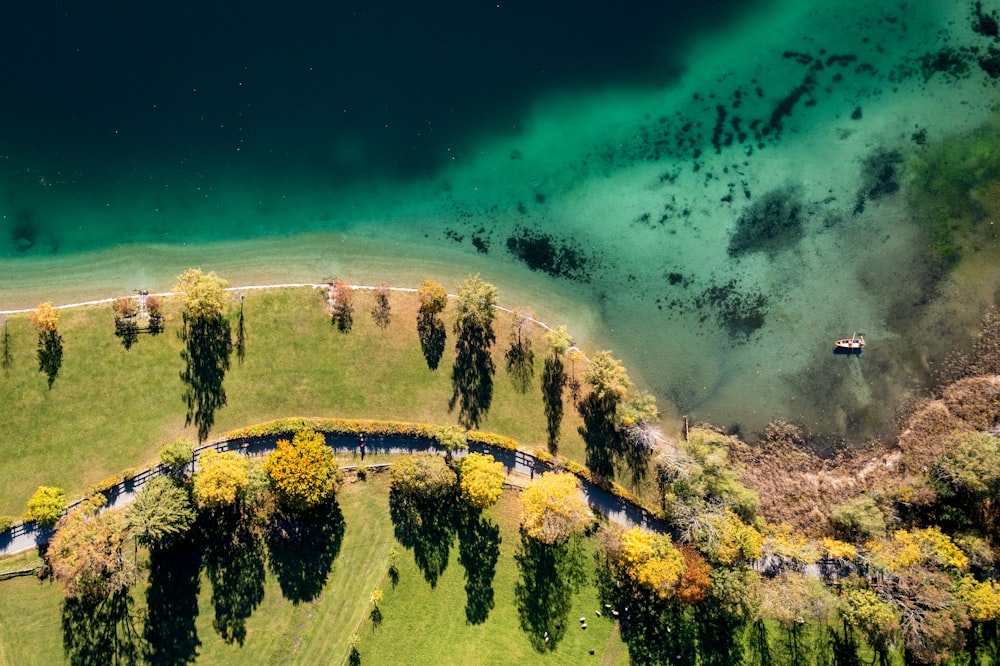 an aerial view of a grassy area with trees and a body of water