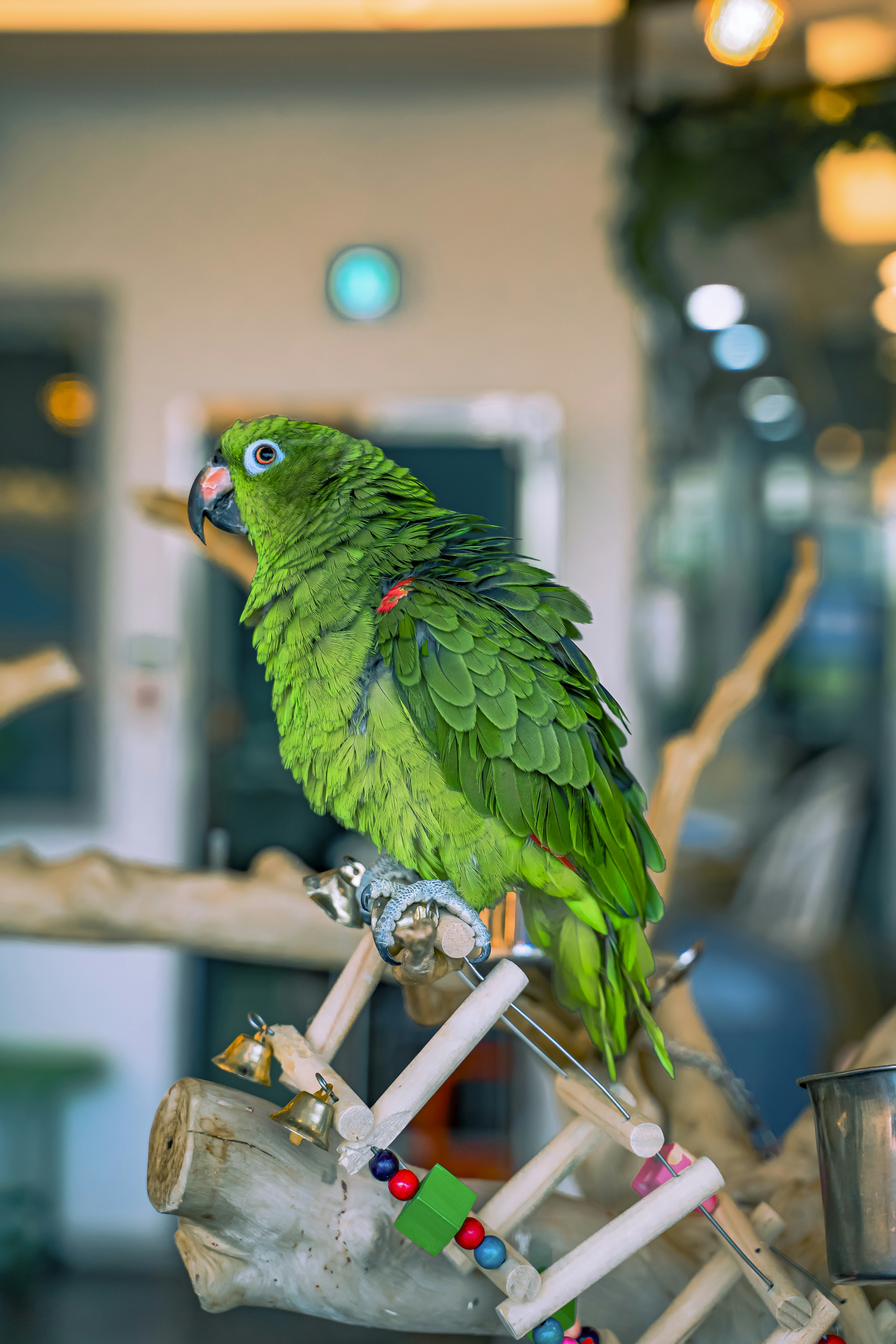 Photo by jabimuhammed