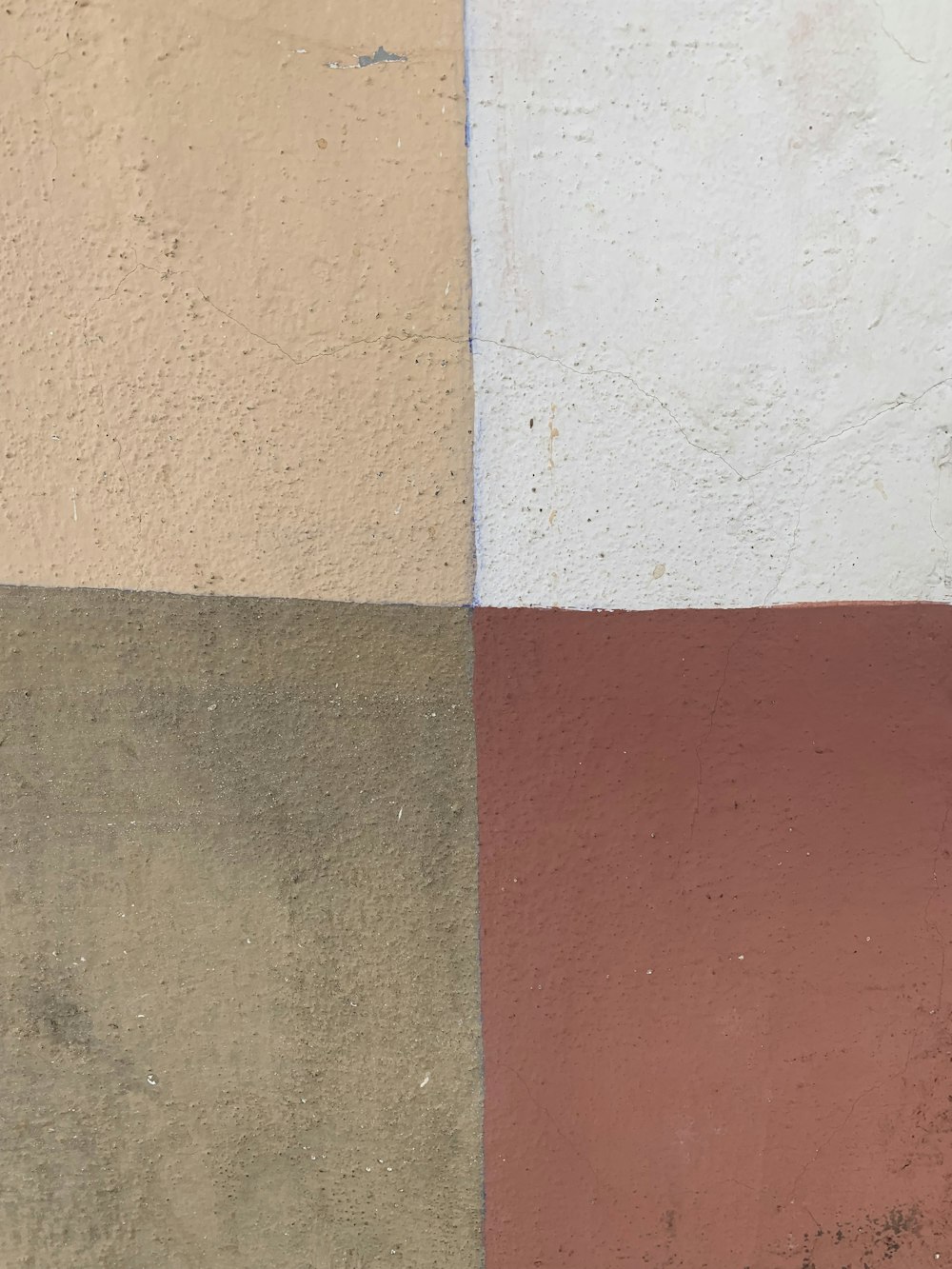 a cat sitting on a bench in front of a multicolored wall