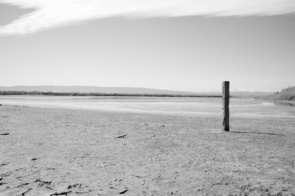 Una foto en blanco y negro de una playa