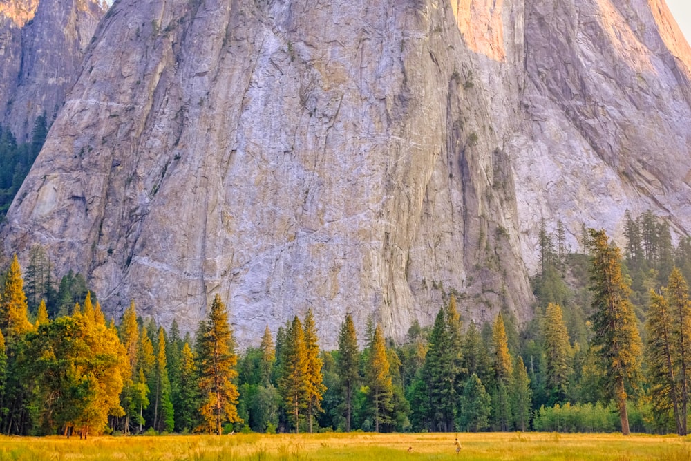 a large mountain towering over a lush green forest