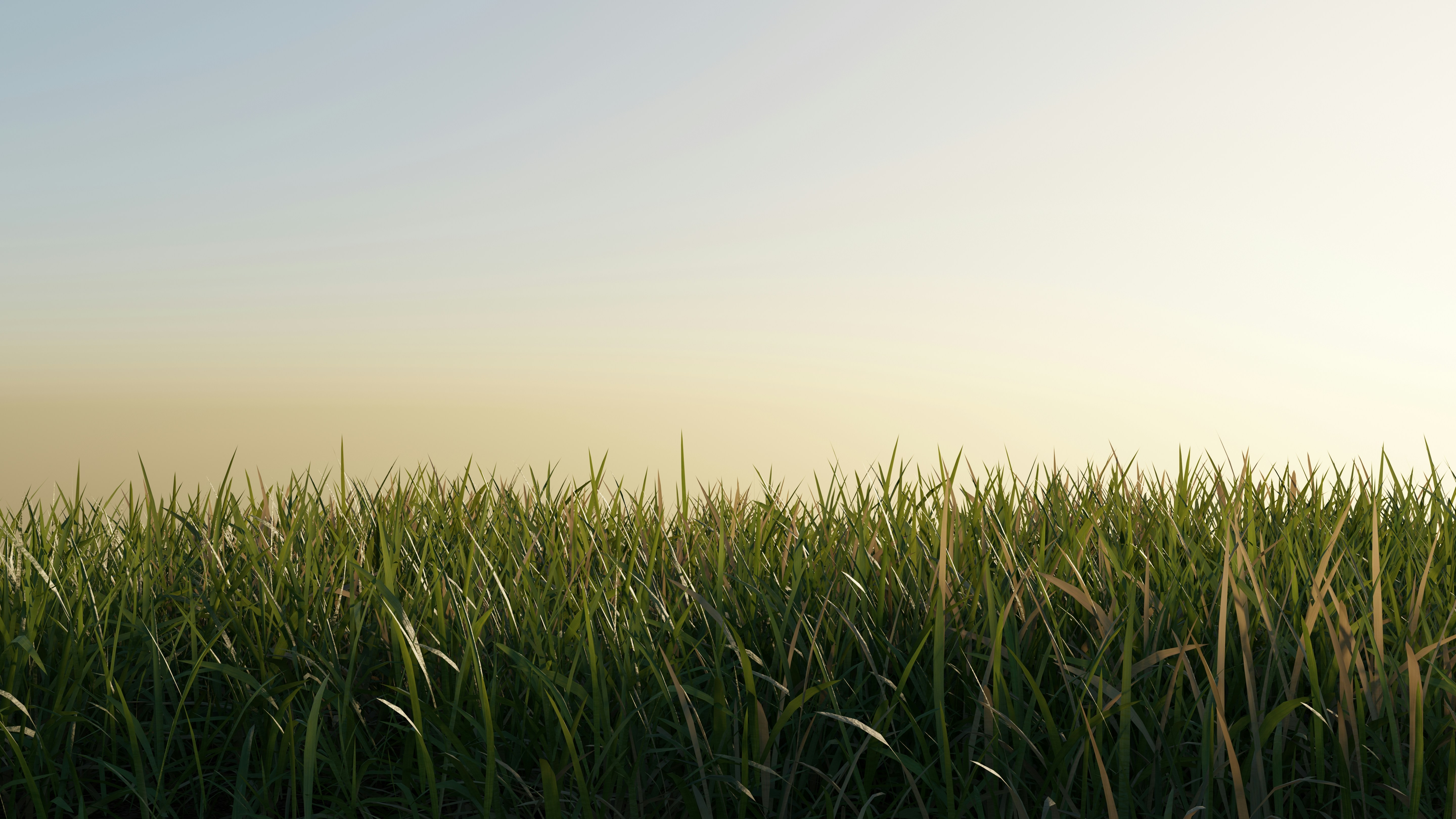 a field of green grass with a blue sky in the background