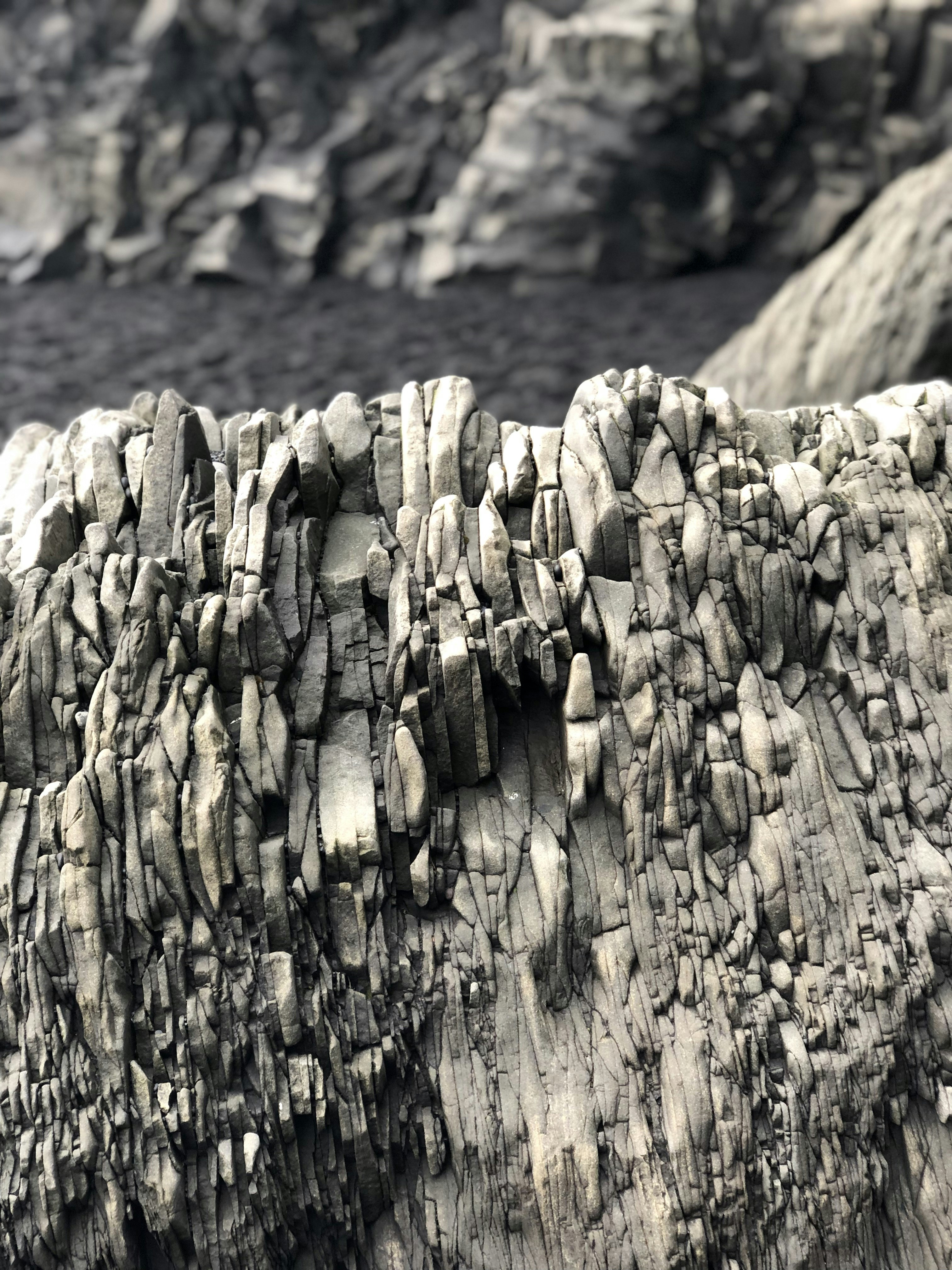 Photo by rodrigocastro_o