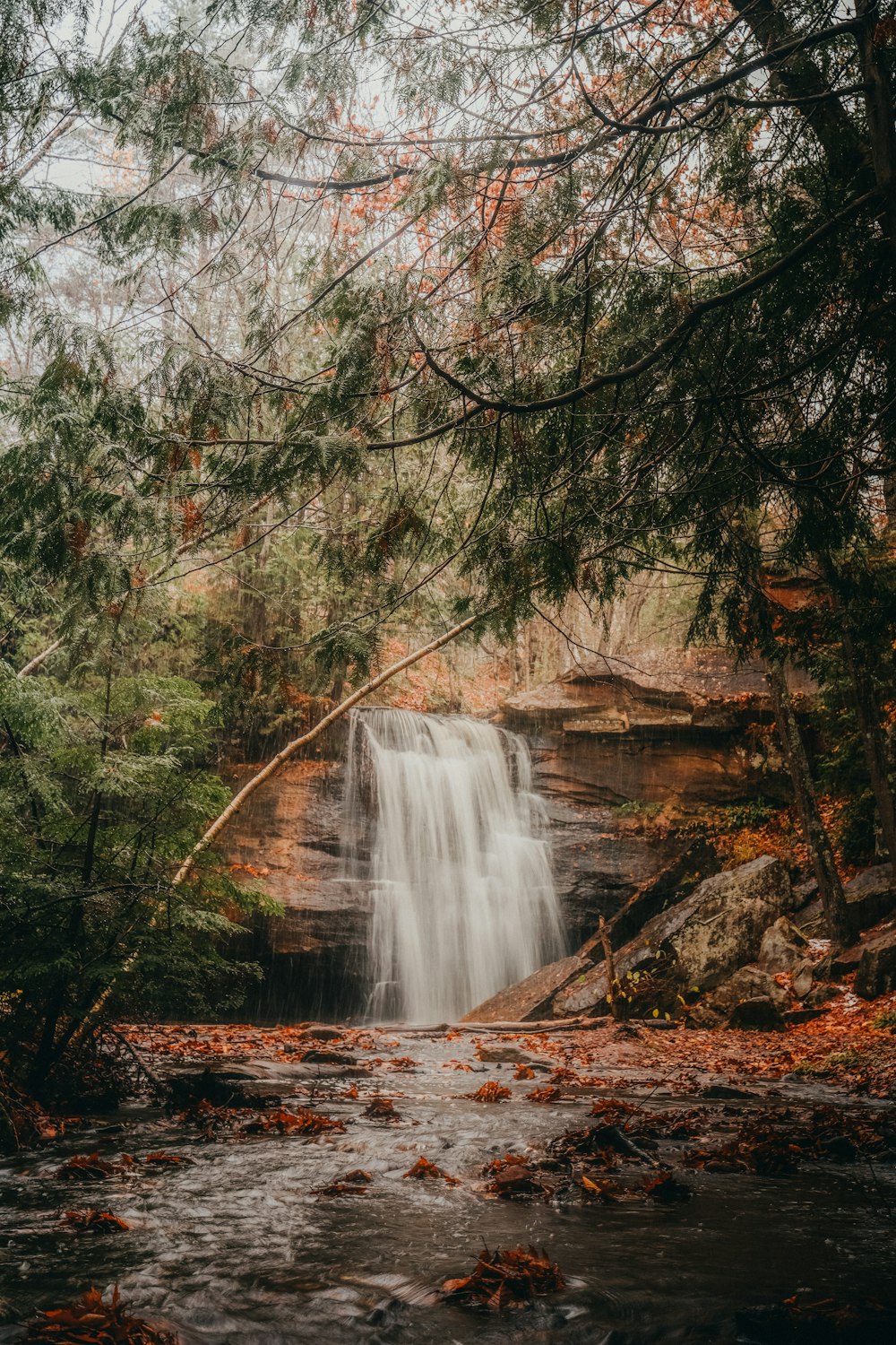 a waterfall surrounded by trees in a forest