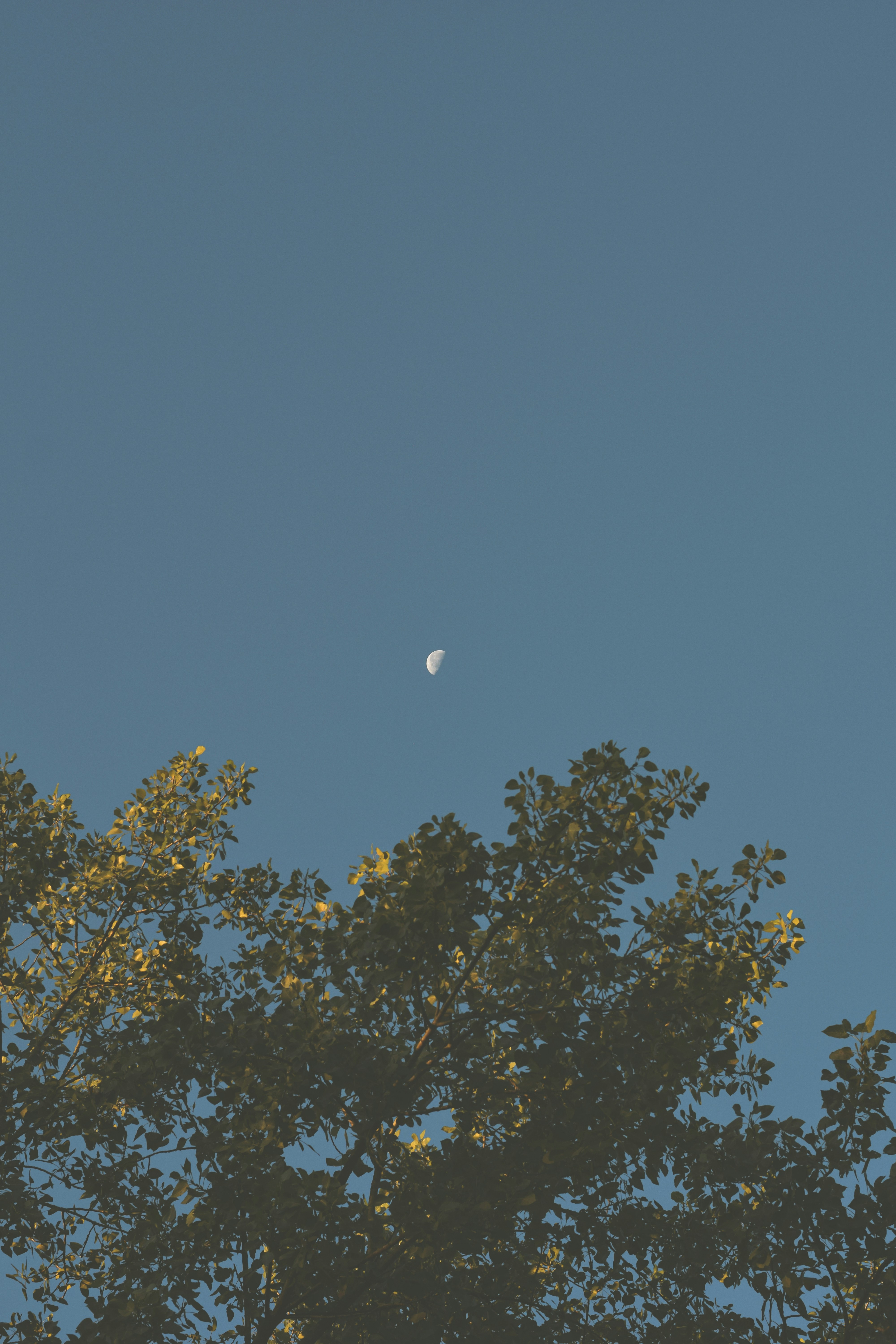 Photo by rfrsrh