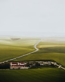 a close up of a green field