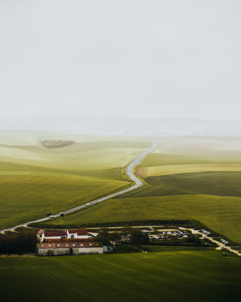 a close up of a green field