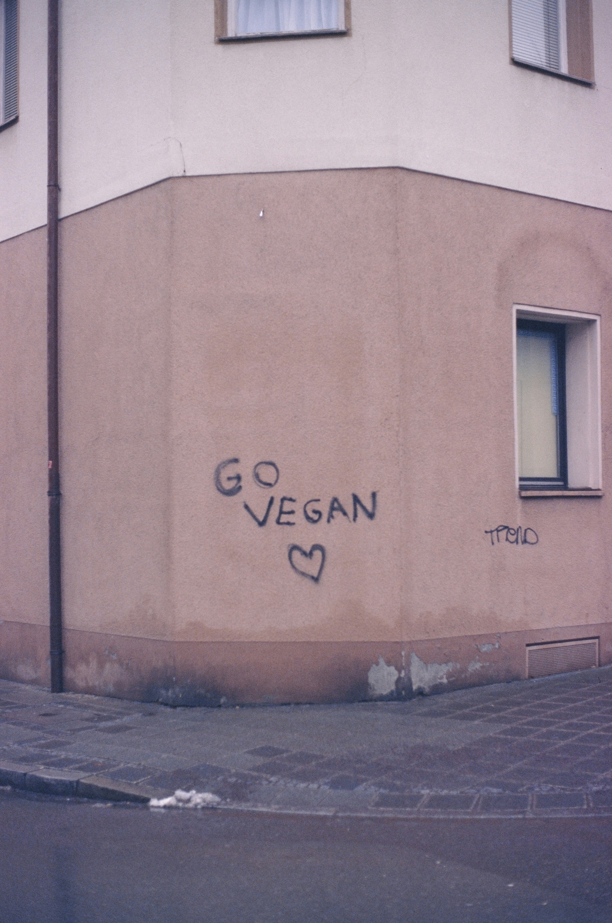 GO VEGAN – Urban street art protest against factory farming. Leica R7 (1994), Summilux-R 1.4 50mm (1983). Hi-Res analog scan by www.totallyinfocus.com – Fujichrome Sensia 200  (expired)