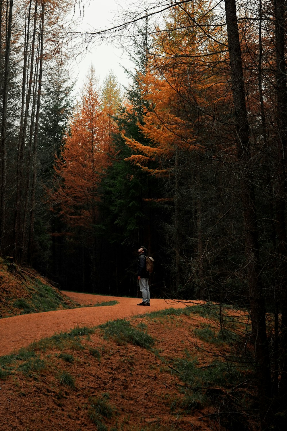 a person standing on a dirt road in the woods
