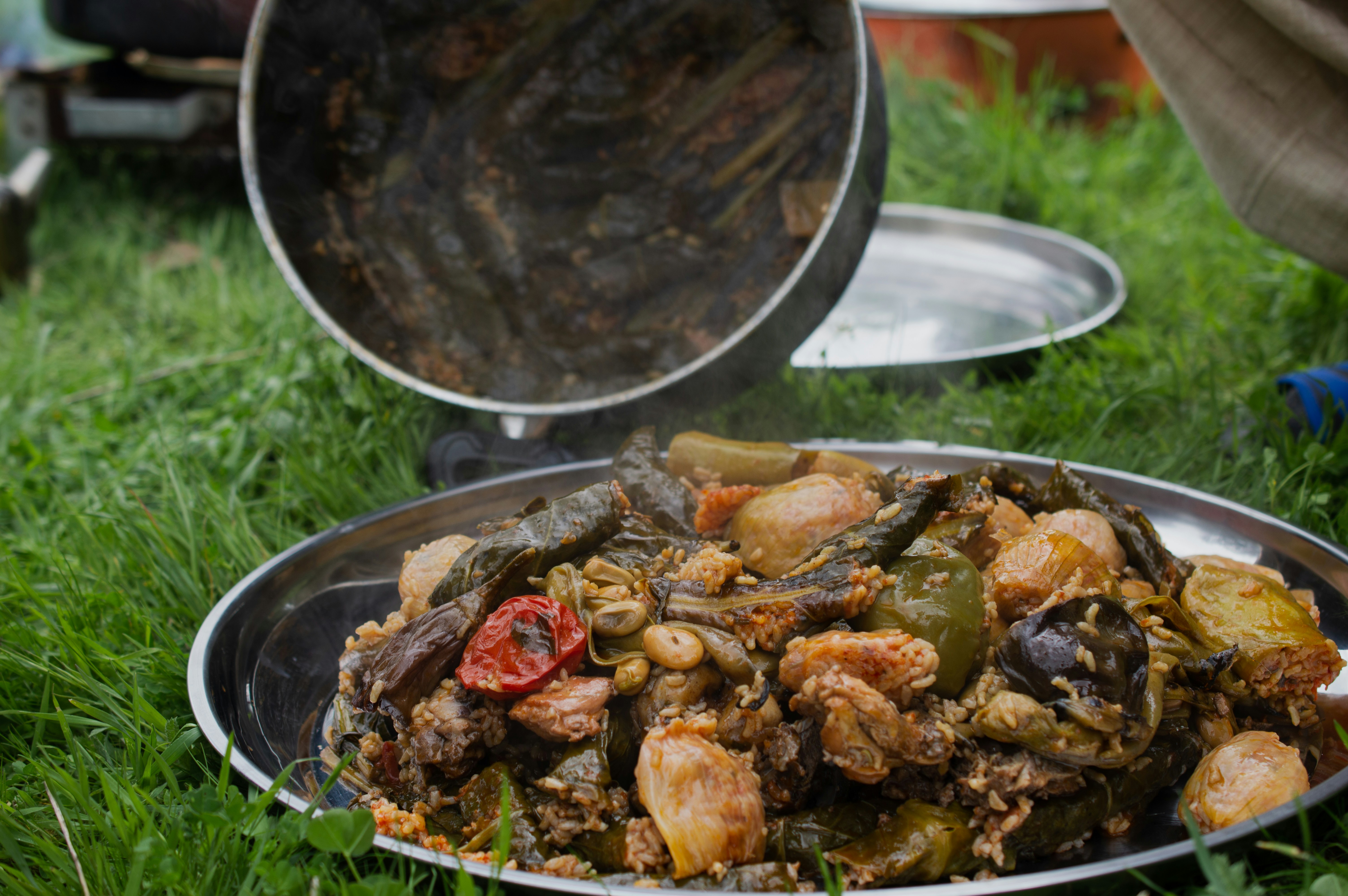 a plate of food sitting on top of a grass covered field