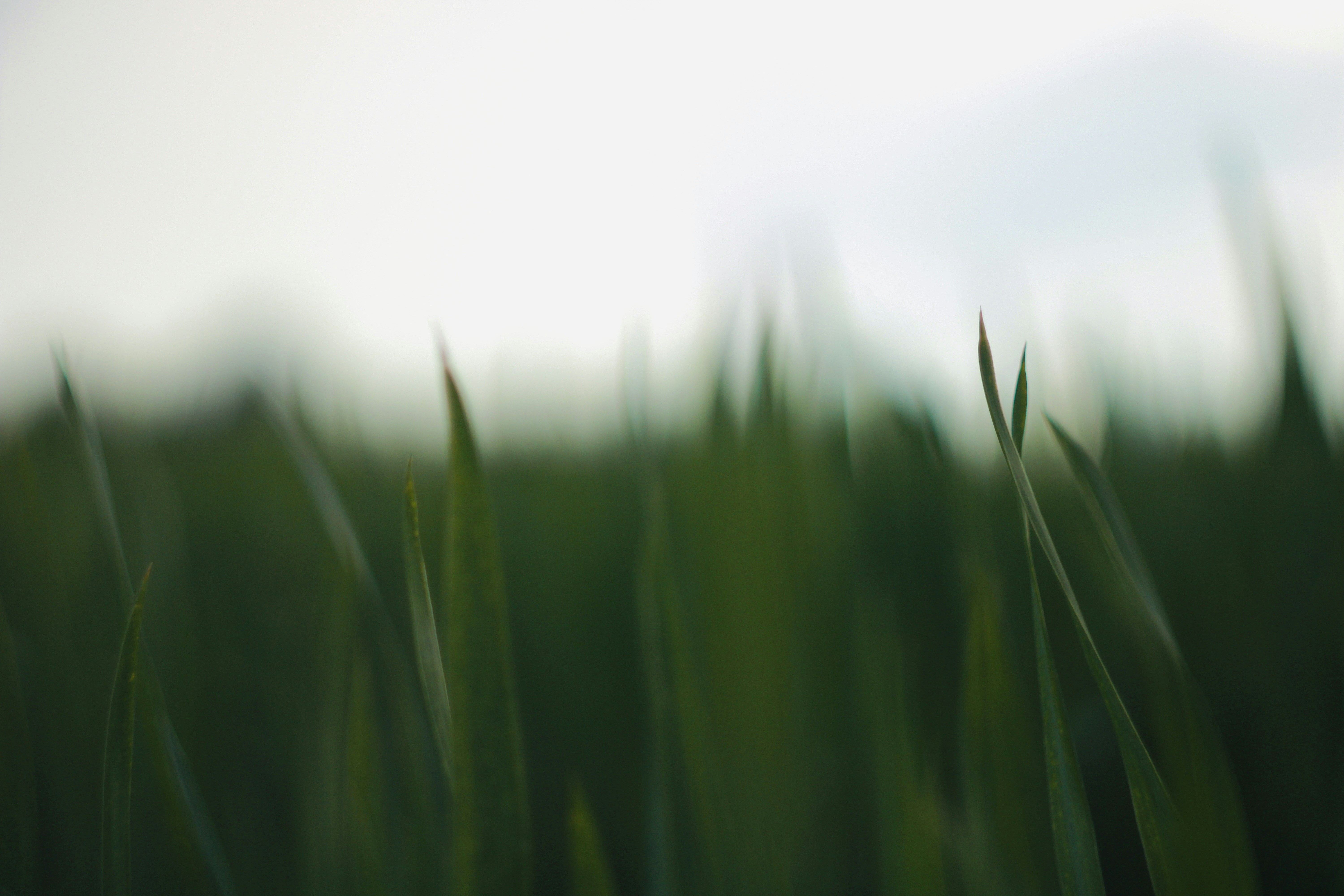 Photo by soulhall_photo