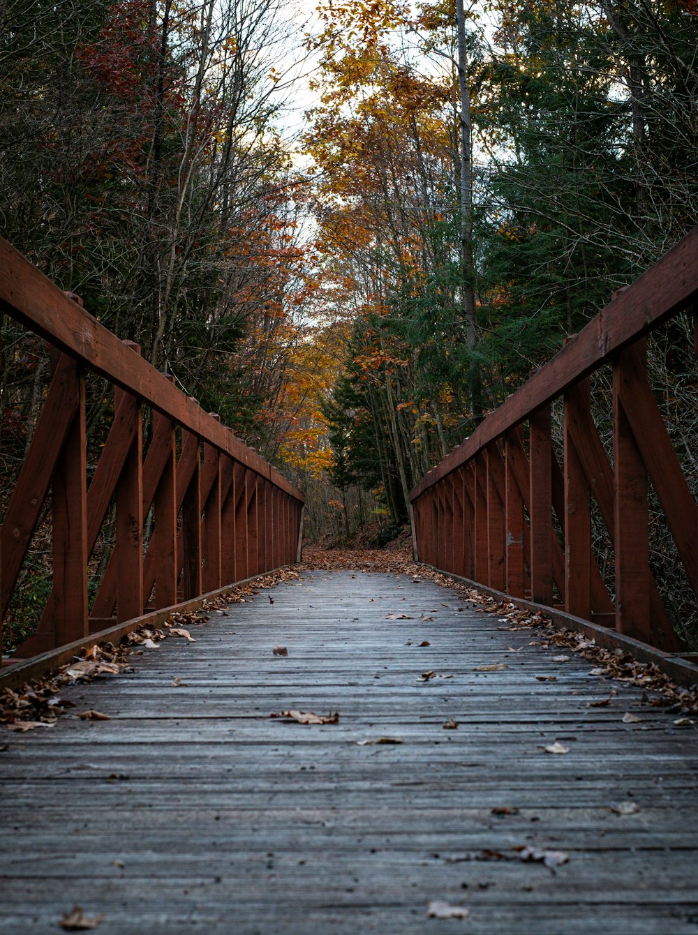 a wooden bridge in the middle of a forest