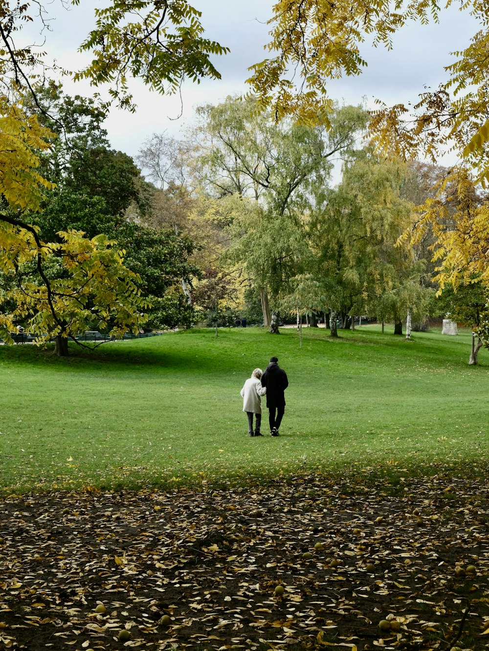 Eine Person, die mit einem Pferd auf einem Feld geht