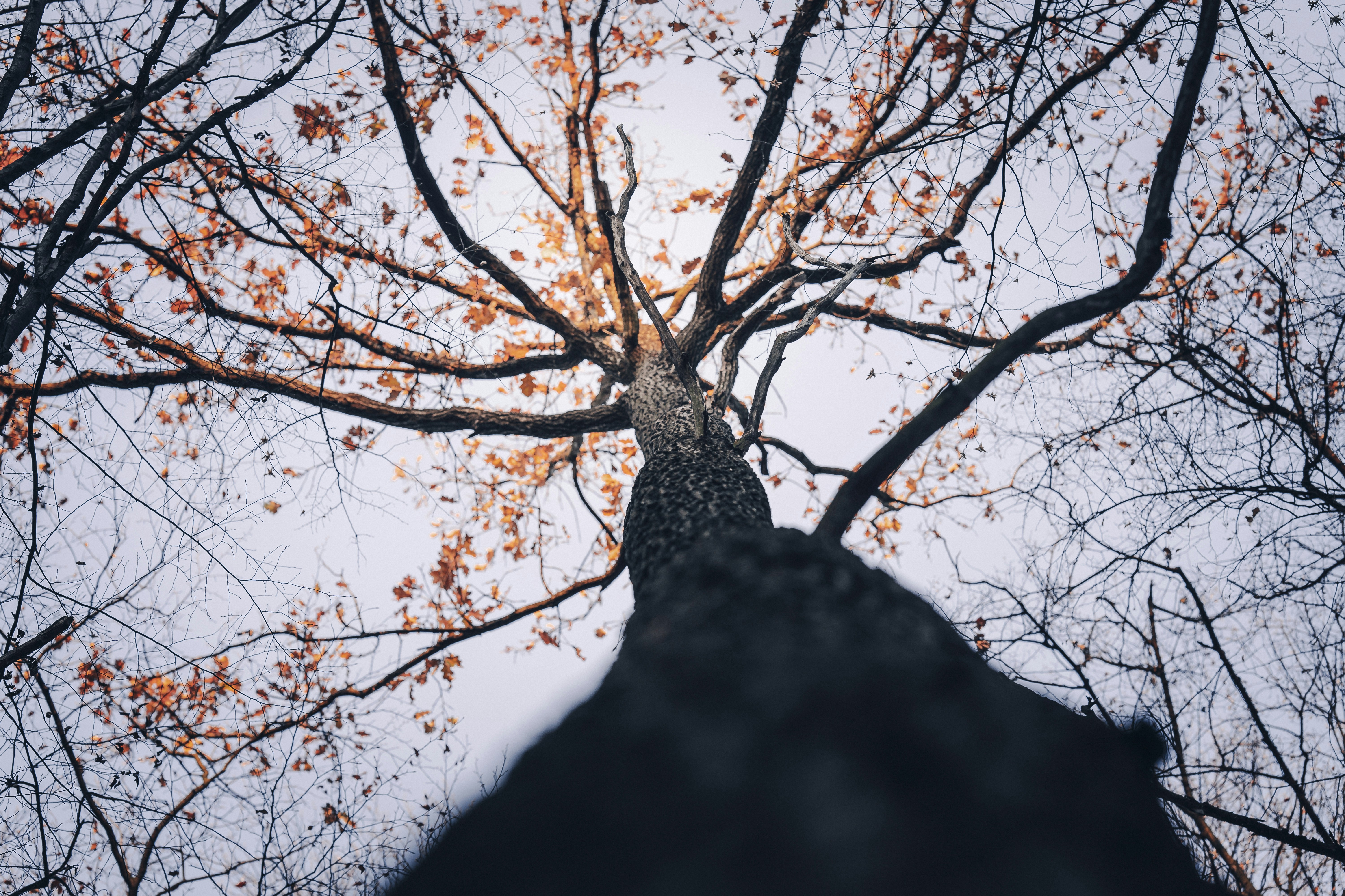 Photo by maksym_tymchyk