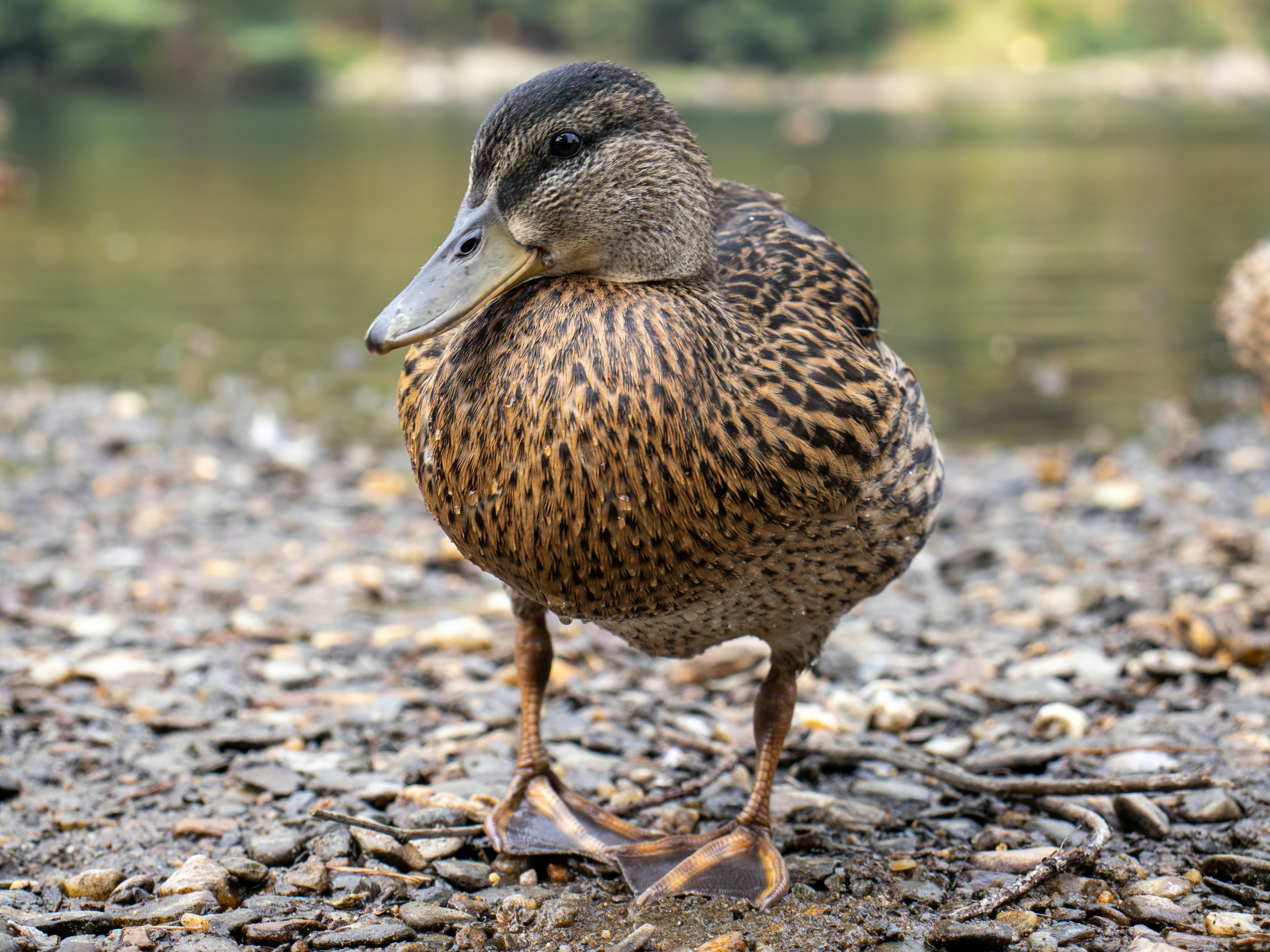 Photo by pokornymichal