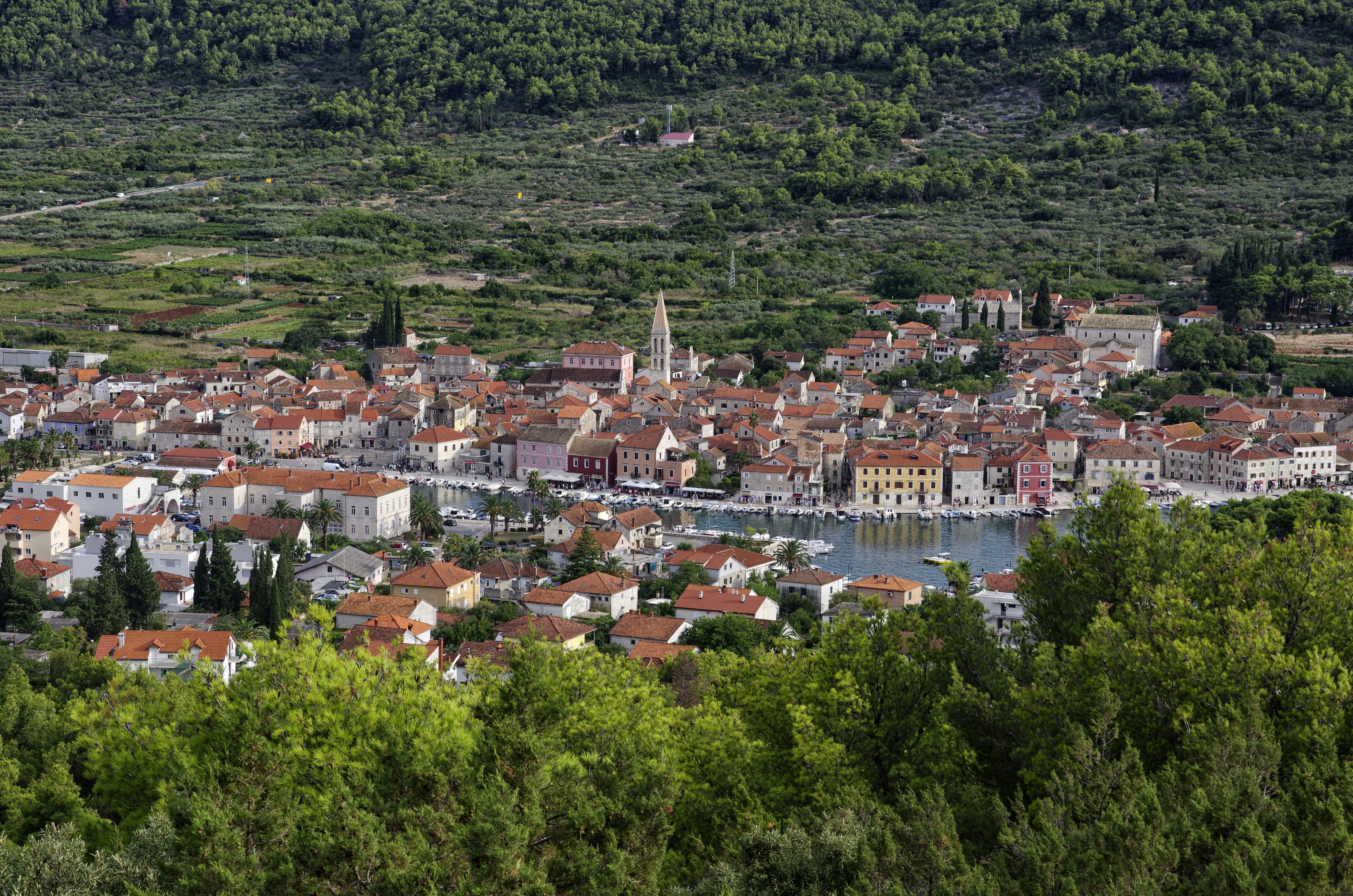 Photo by lotharborispiltz