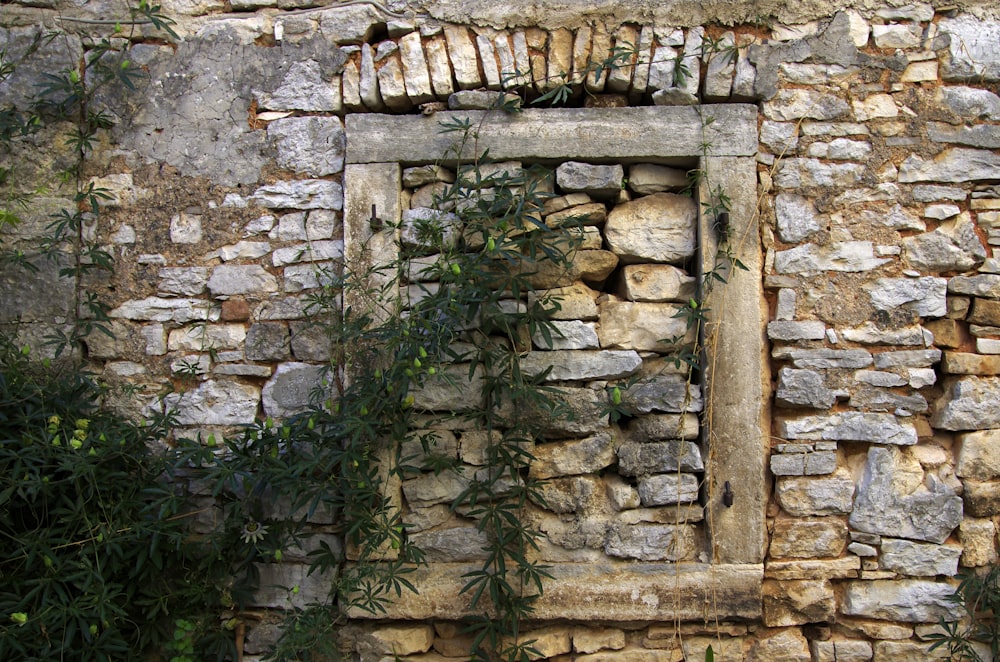 a stone wall with a window and a plant growing out of it