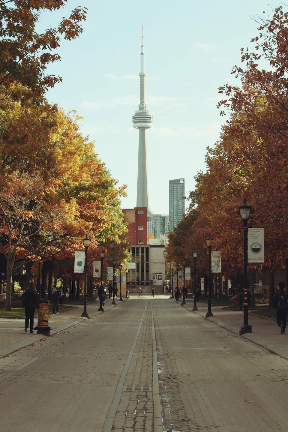Serene autumn scene with vibrant orange leaves against clear blue sky and towering architecture