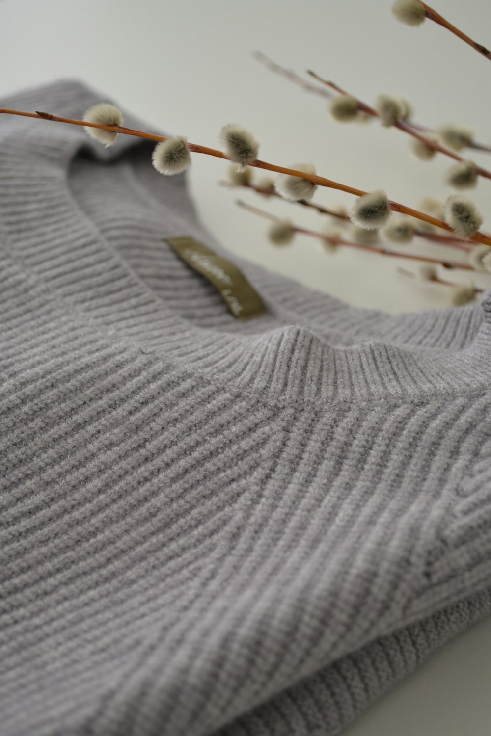 a close up of a sweater with a plant in the background