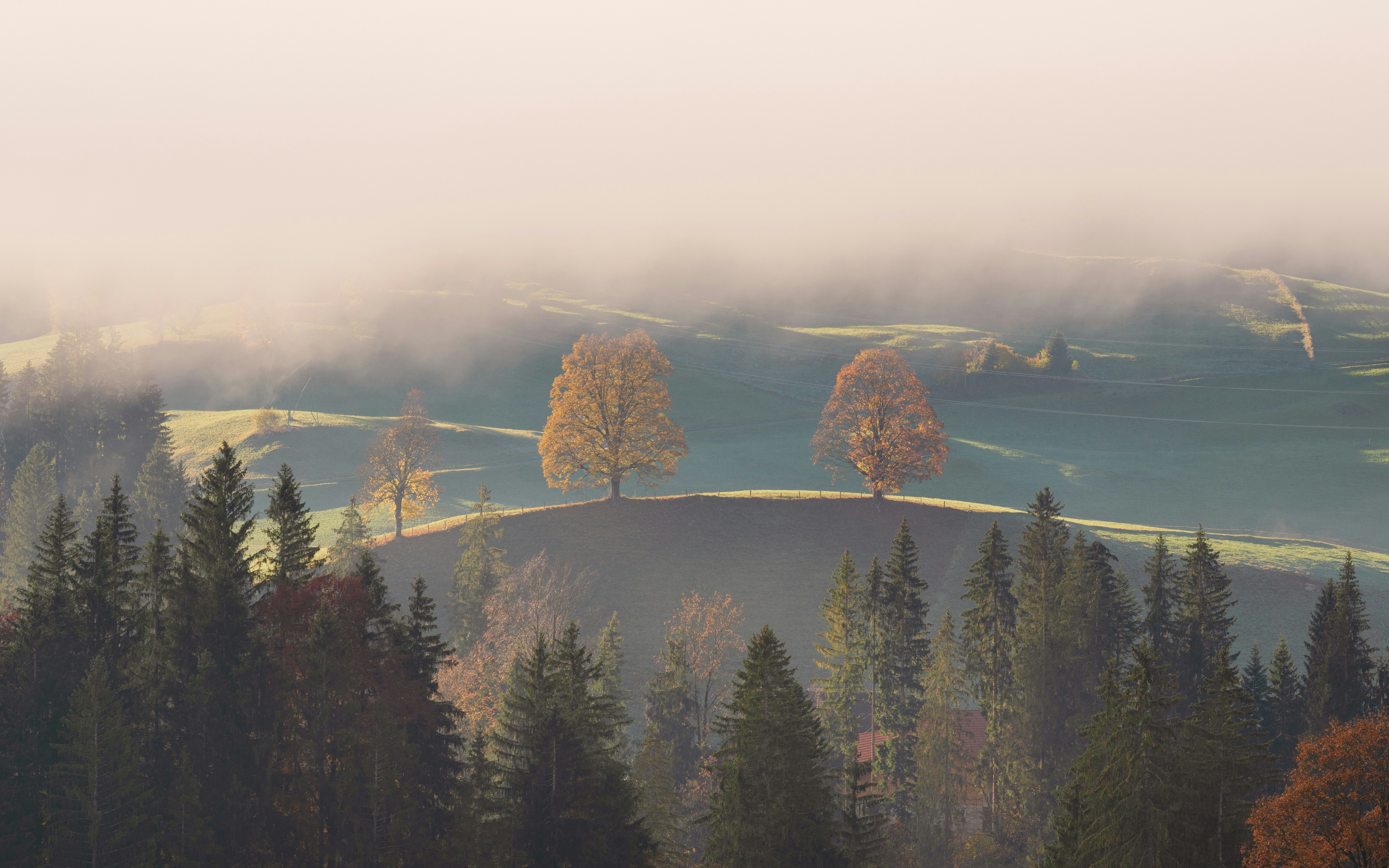 Photo by fabianbetto