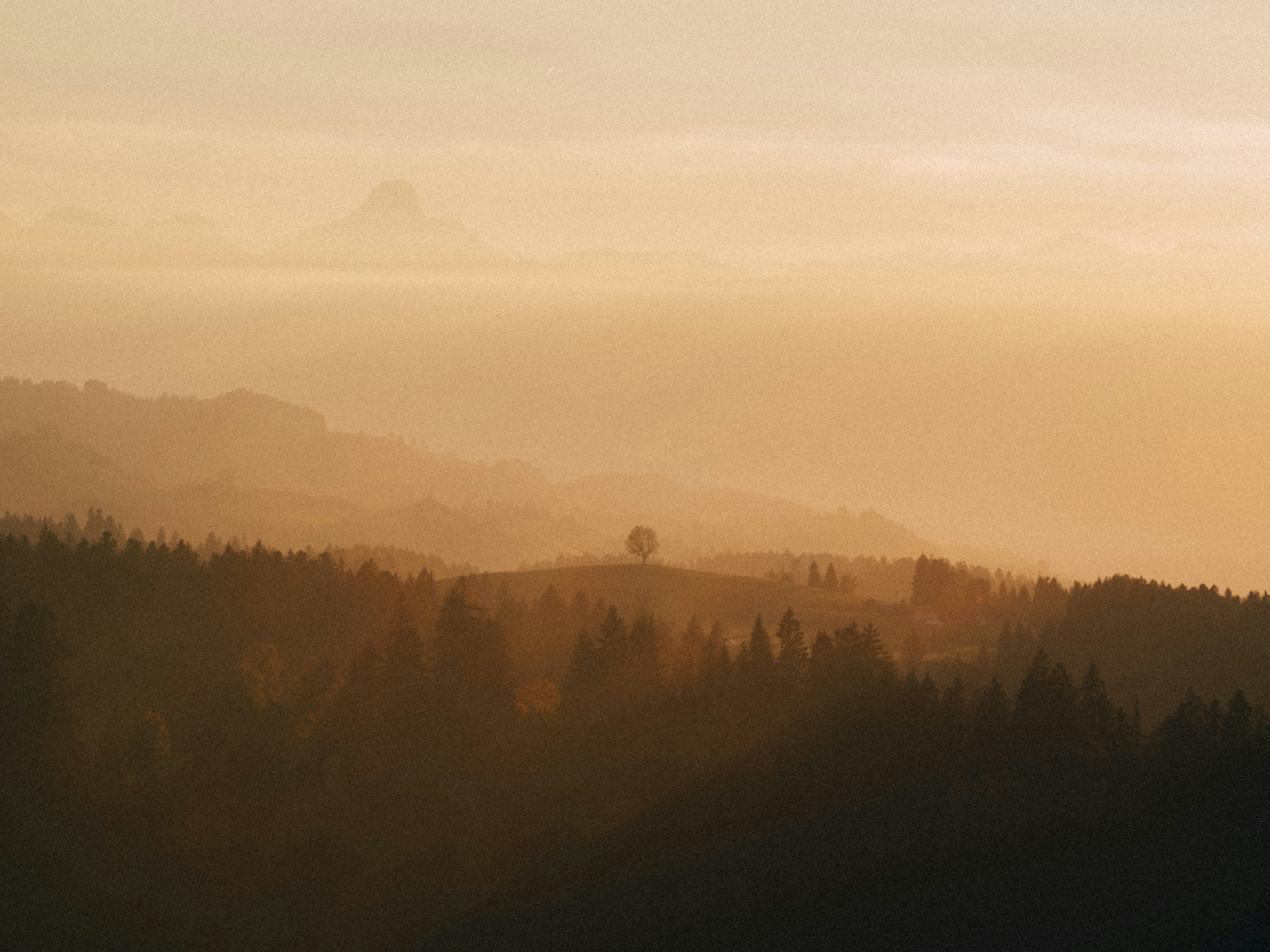 Photo by fabianbetto