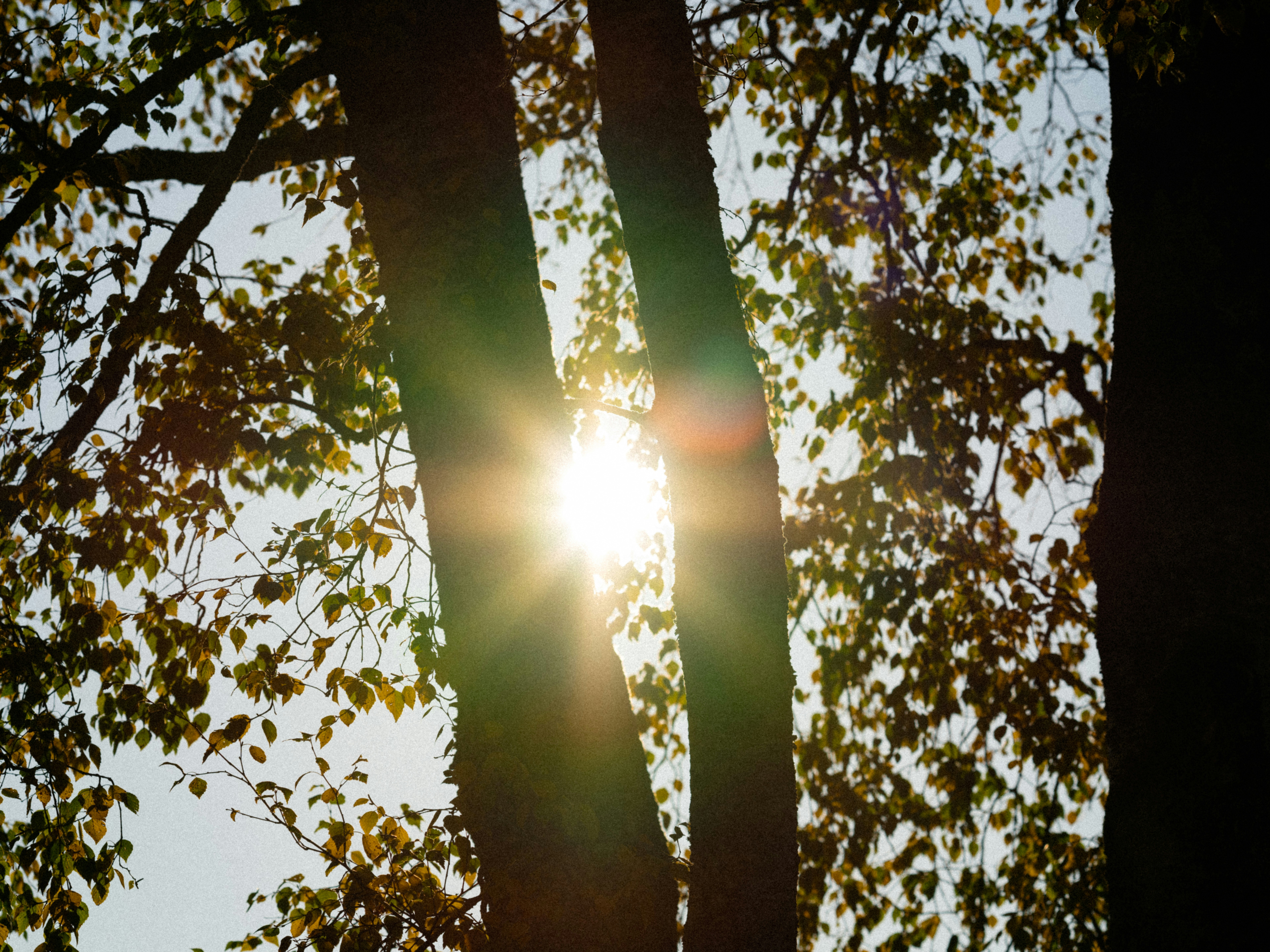 Photo by fabianbetto