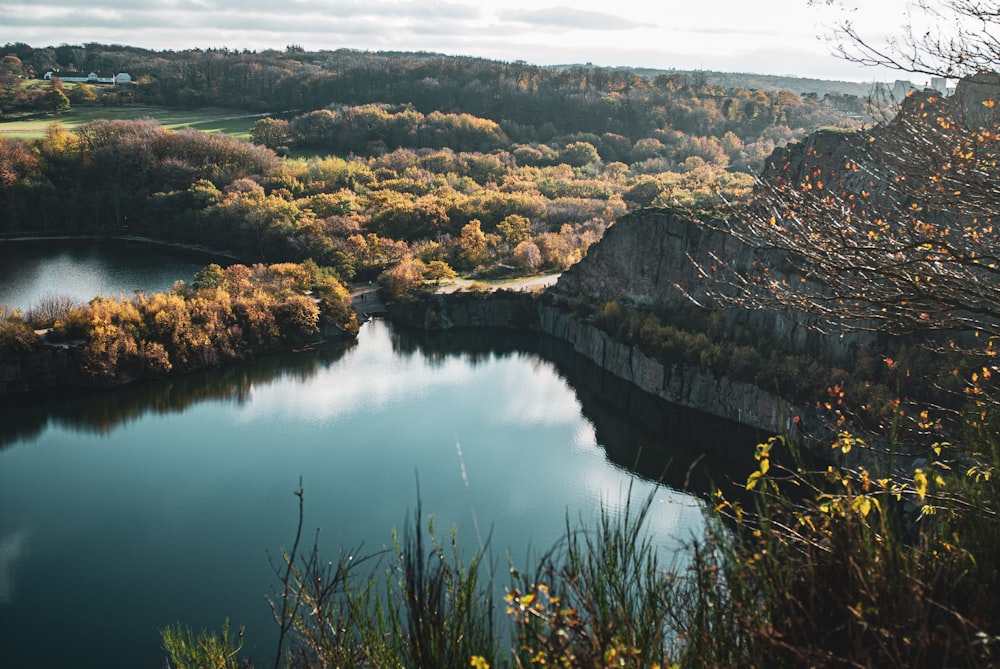 a large body of water surrounded by trees