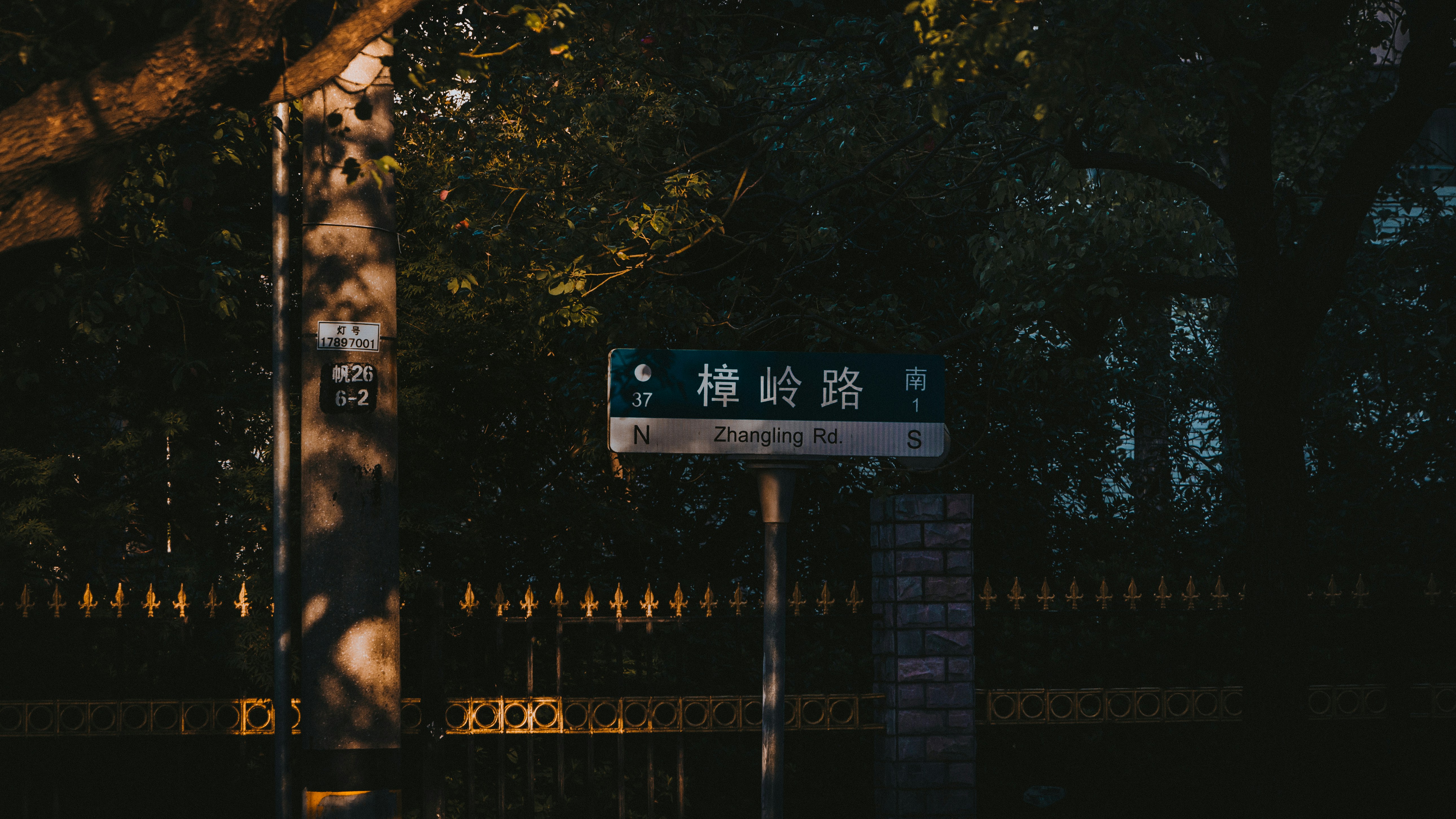 먹방의 여왕 쯔양의 인기 비결과 새로운 트렌드