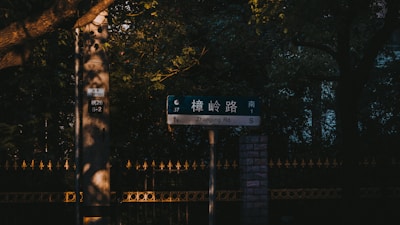 A street sign indicates 'Zhangling Rd' on a green panel, surrounded by trees. The scene is dimly lit with sunlight filtering through leaves, casting shadows on the ground and the sign. A stone pillar stands next to the sign, partially in shadow, with numbers and characters on it. The background includes more trees and a metal fence with decorative elements.