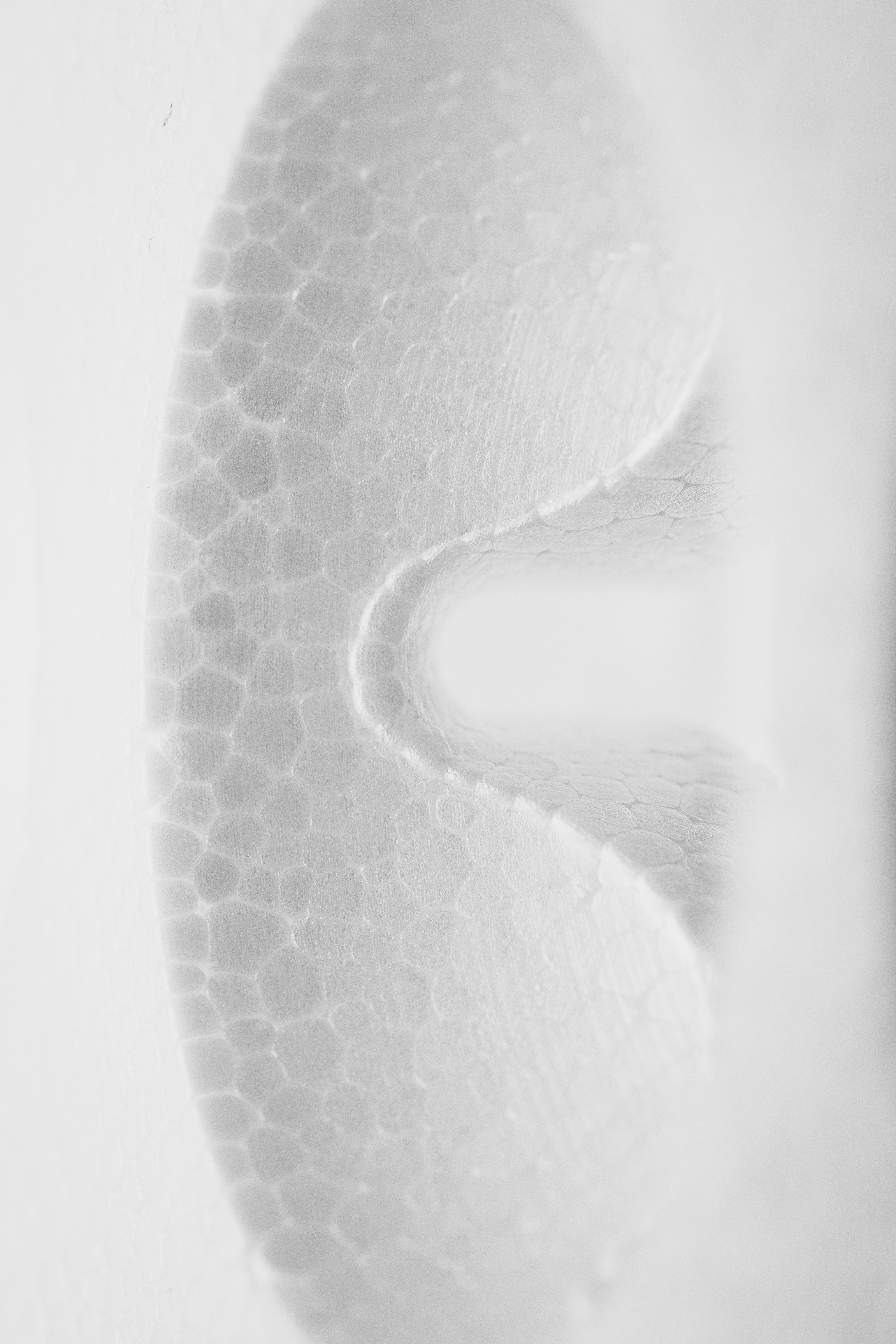 a close up of a piece of white paper