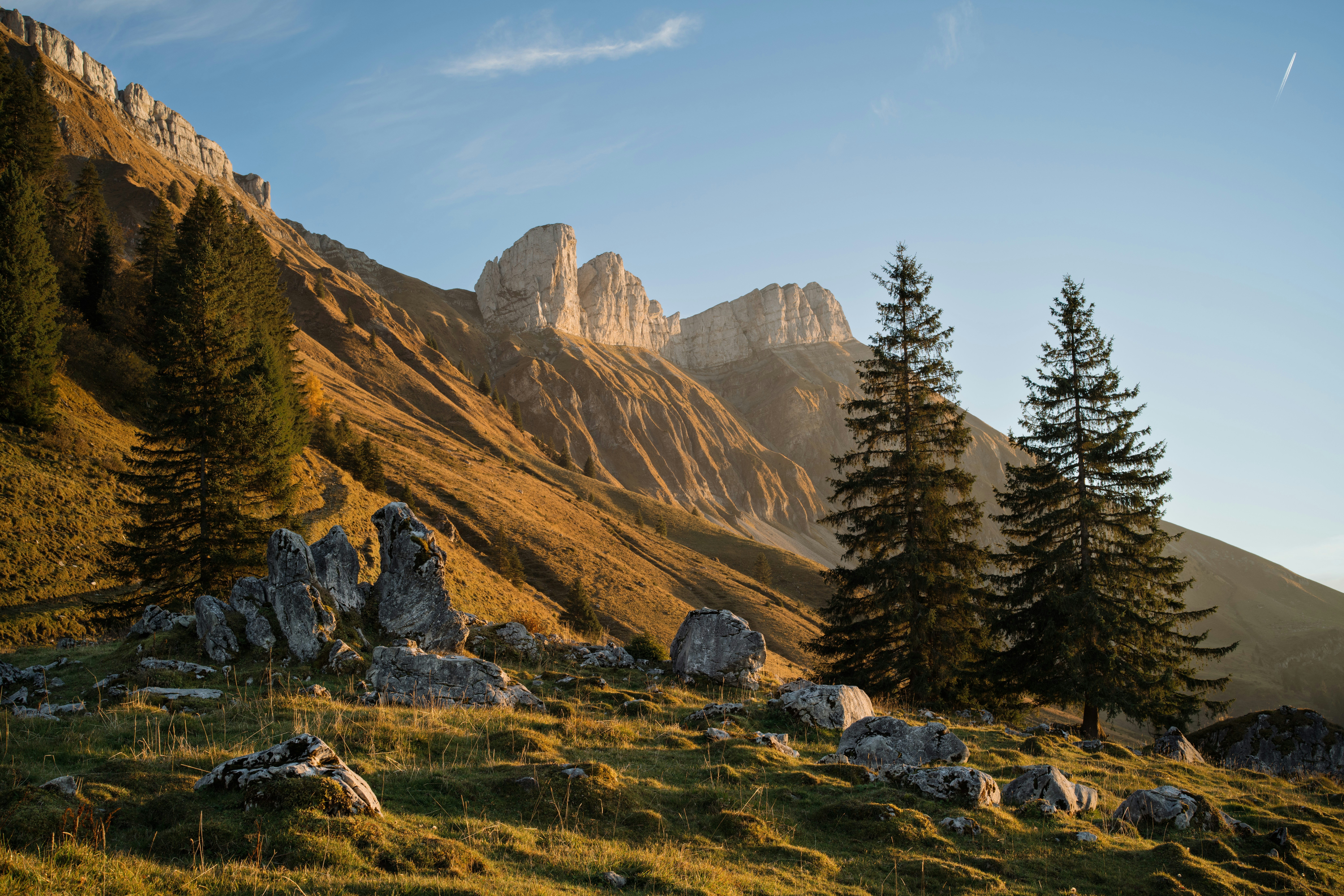 Photo by fabianbetto