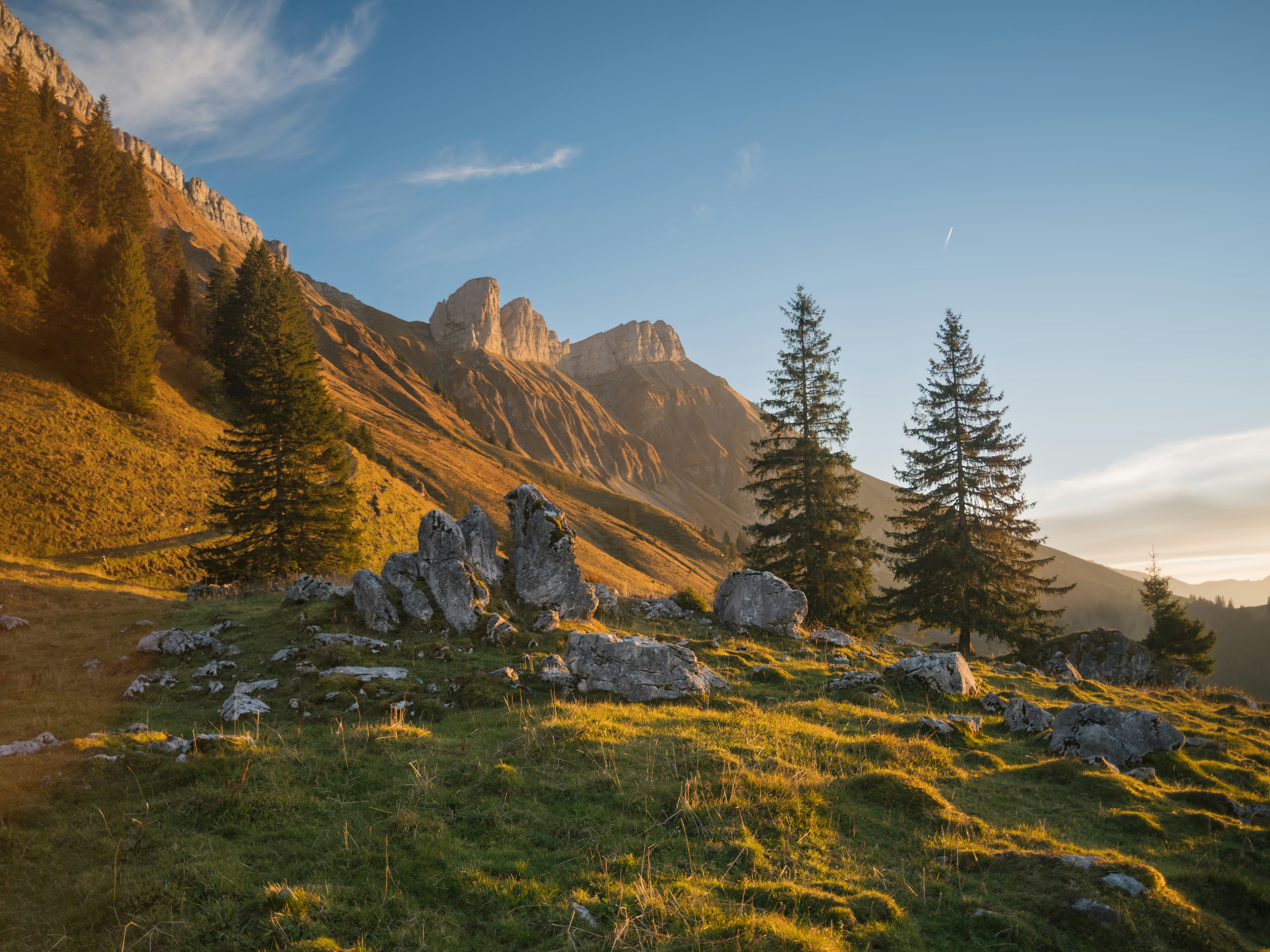 Photo by fabianbetto