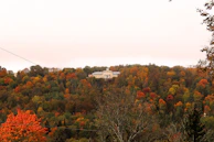 An outdoor shot of the club's original building nestled among tall trees in autumn.