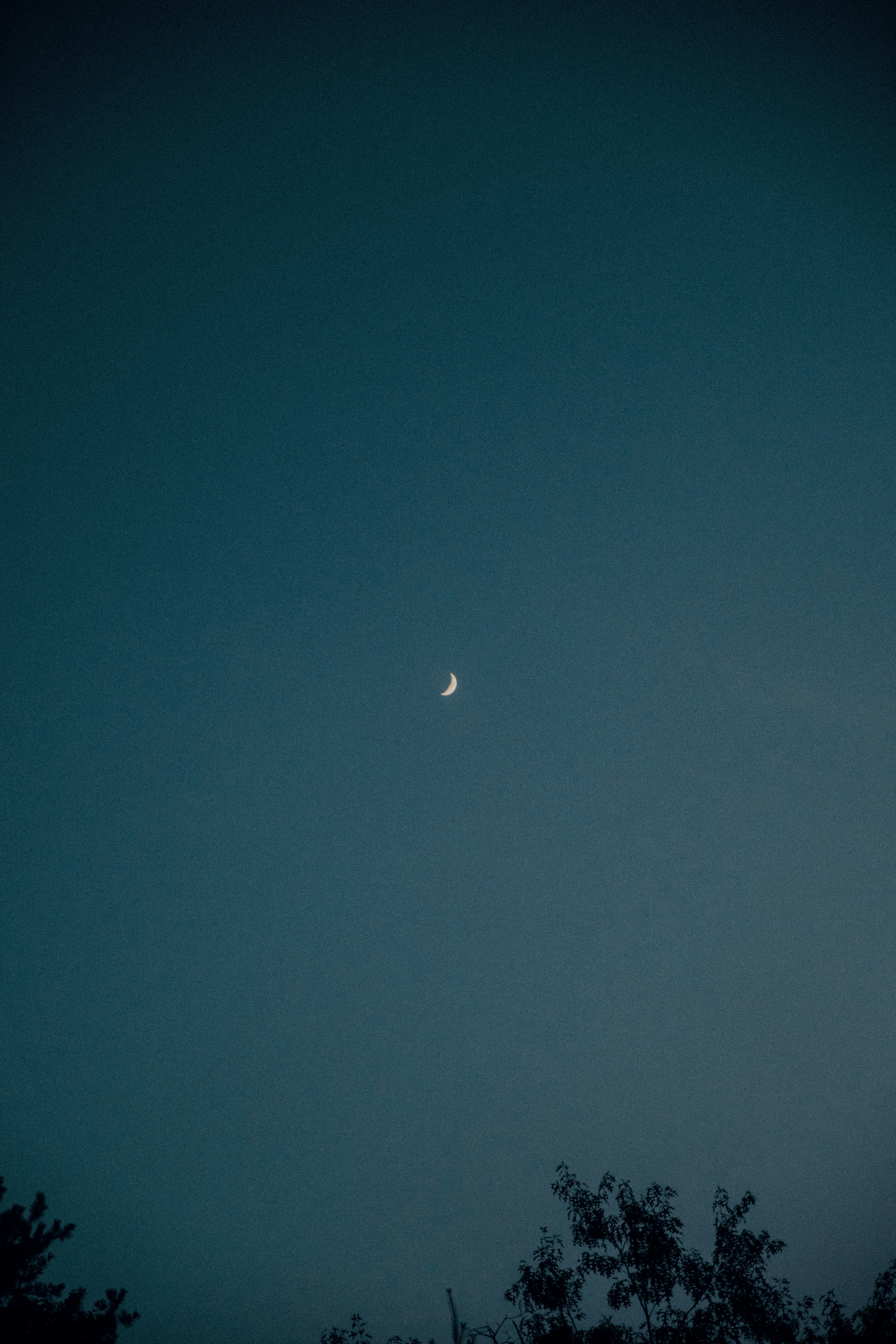 Photo by taydoggette