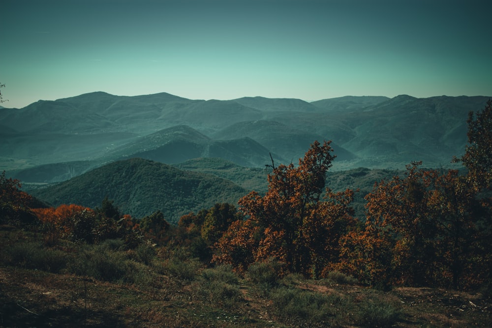 a view of a mountain range with trees in the foreground