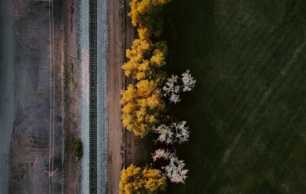 an aerial view of a train track and trees