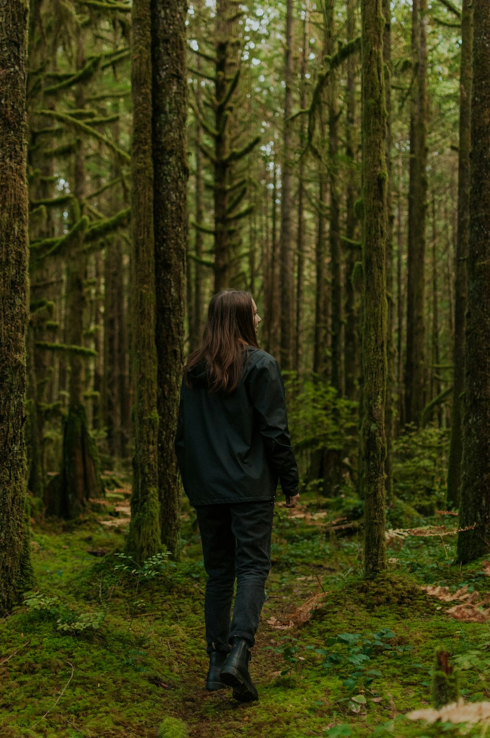 a person walking through a forest with lots of trees