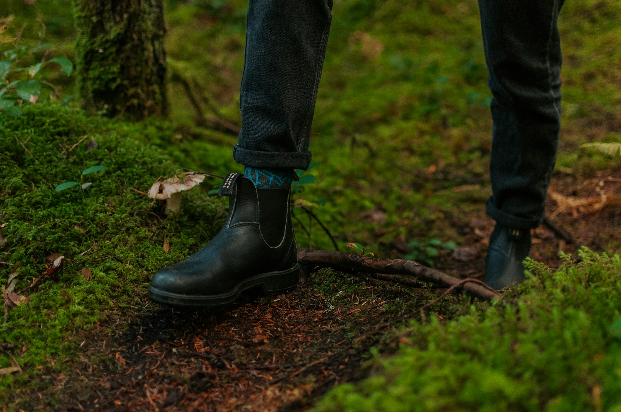 Blundstones in a mossy forest