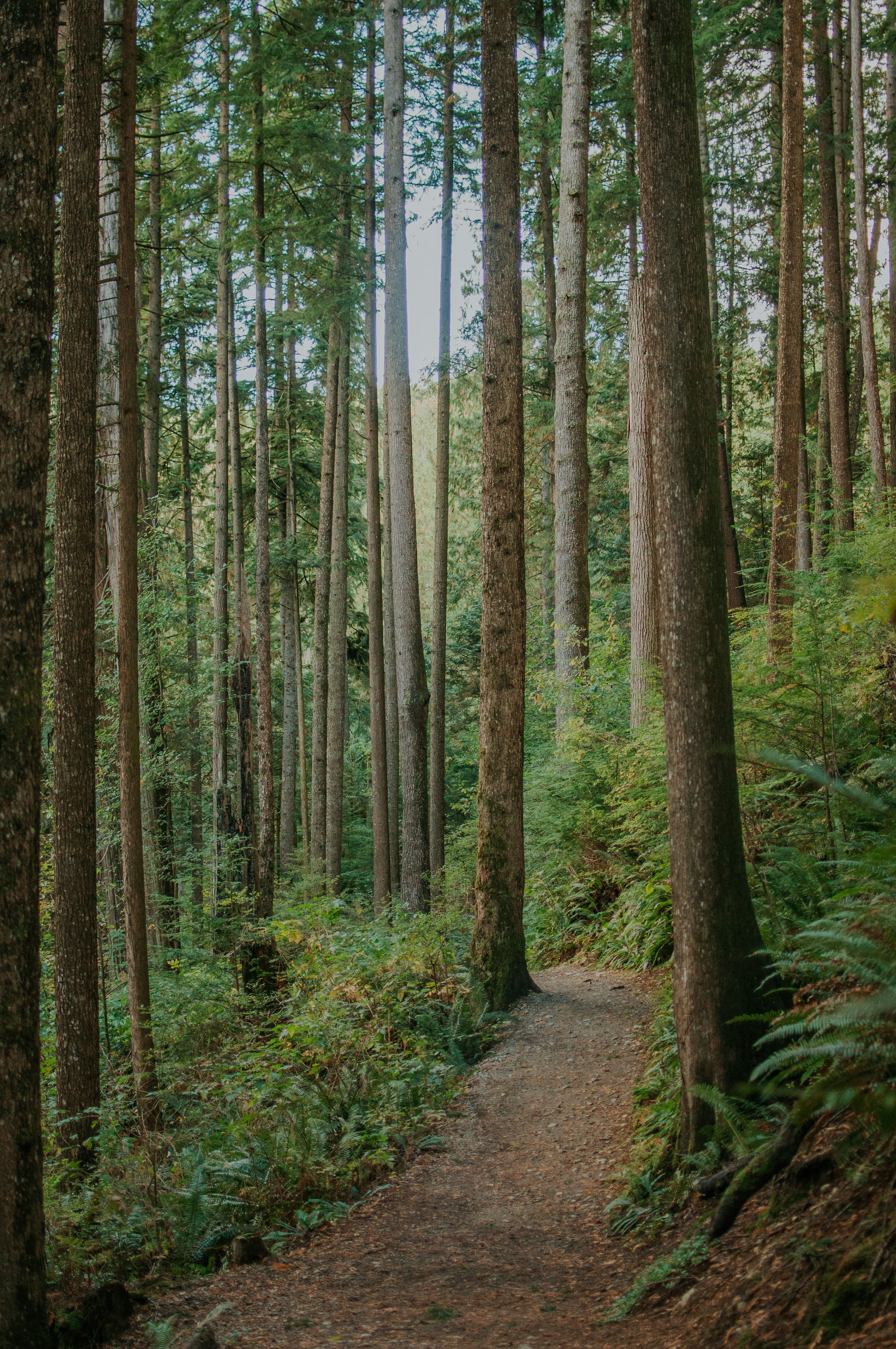 Photo by peacecreativestudio