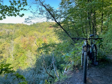 A lush green forest with dense foliage stretches across the landscape. In the foreground, two mountain bikes are positioned on a narrow dirt trail, partially surrounded by vibrant green leaves and branches. The terrain appears rugged, with a mix of shadows and sunlight piercing through the leaves, adding depth to the scene.
