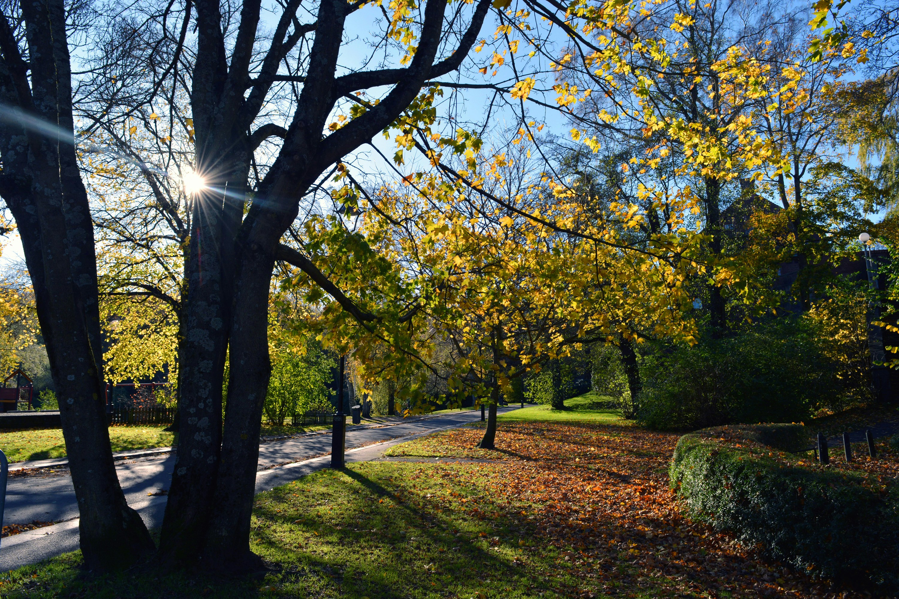 Photo by artsy_lens21