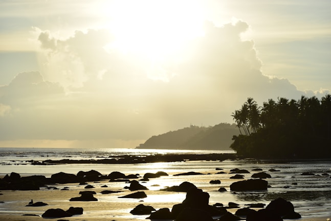 A golden-framed image of a serene California coastline.
