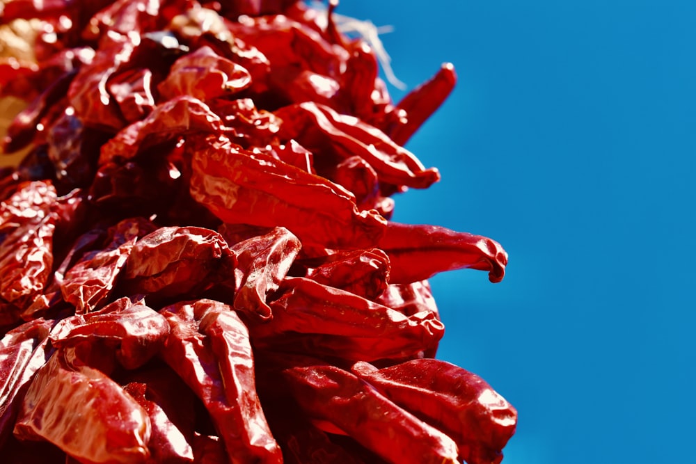 a pile of red peppers sitting on top of a blue sky