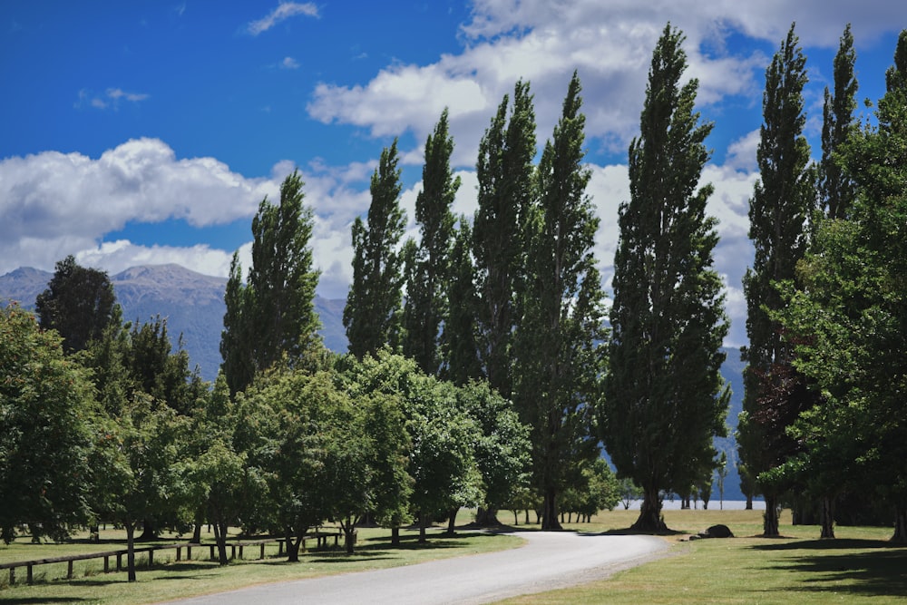 a dirt road surrounded by trees and mountains